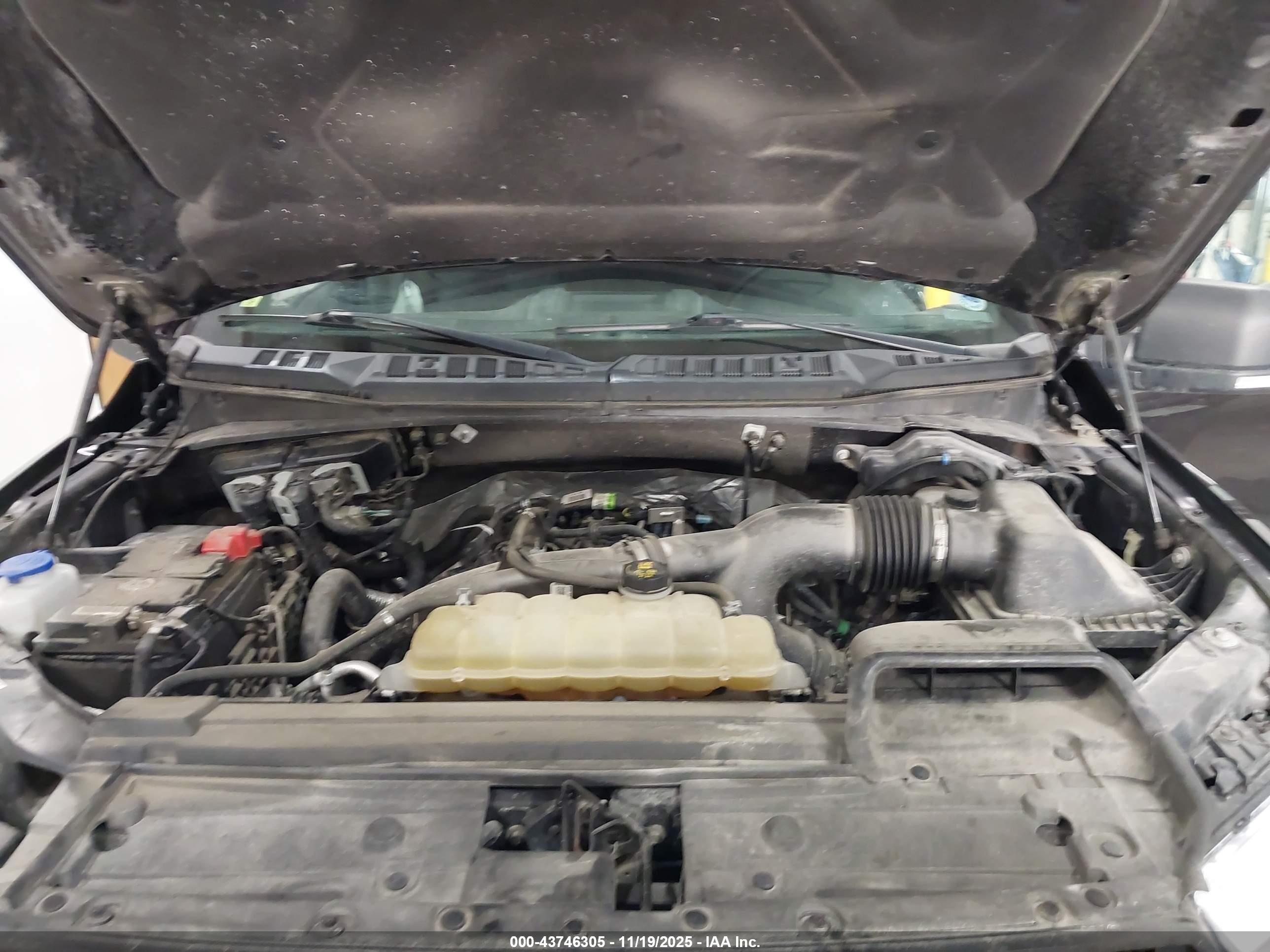 FORD F-150 image 10