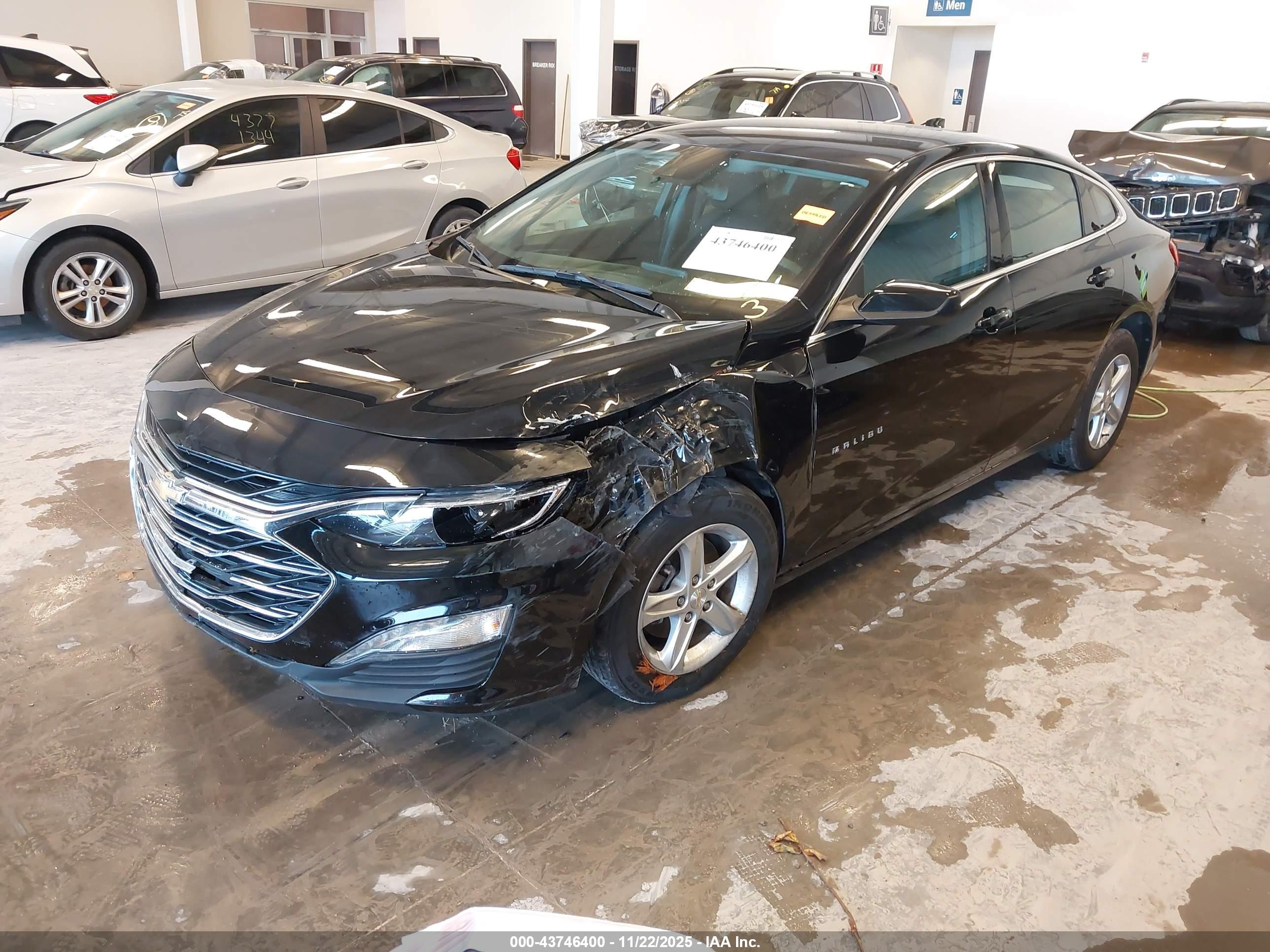 CHEVROLET MALIBU image 2