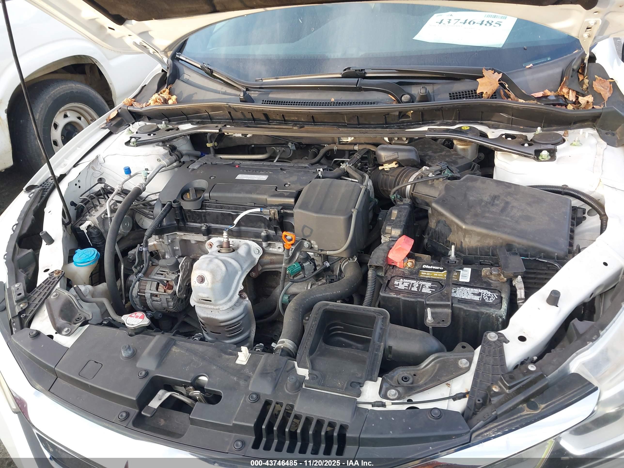 HONDA ACCORD image 10