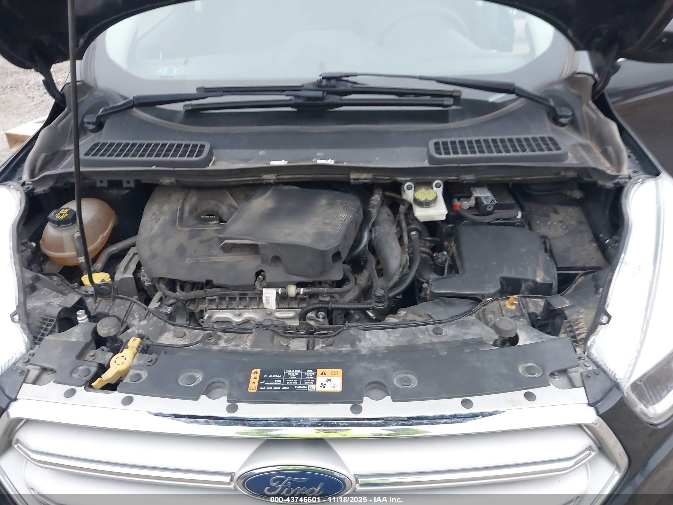 FORD ESCAPE image 10