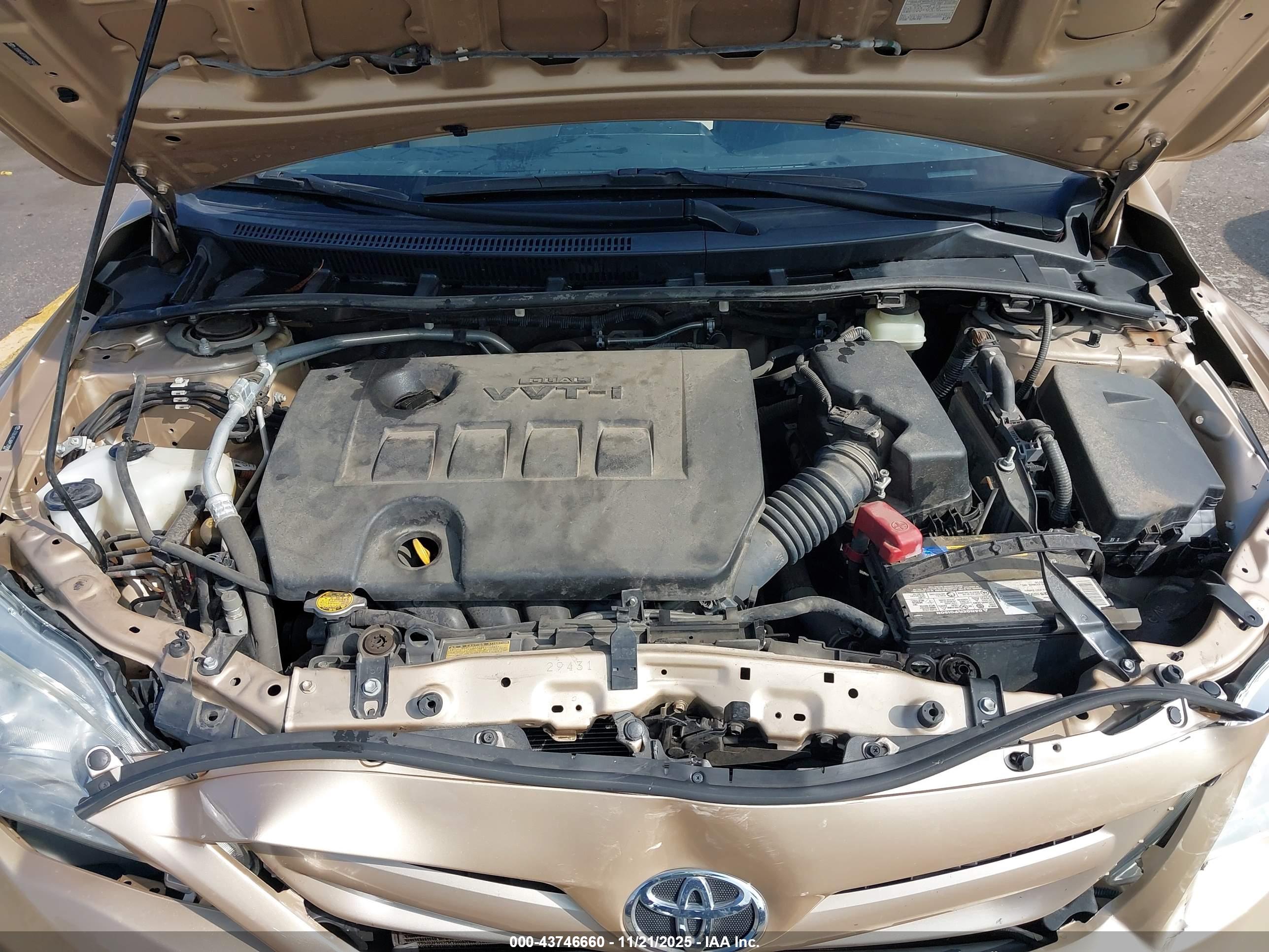 TOYOTA COROLLA image 10
