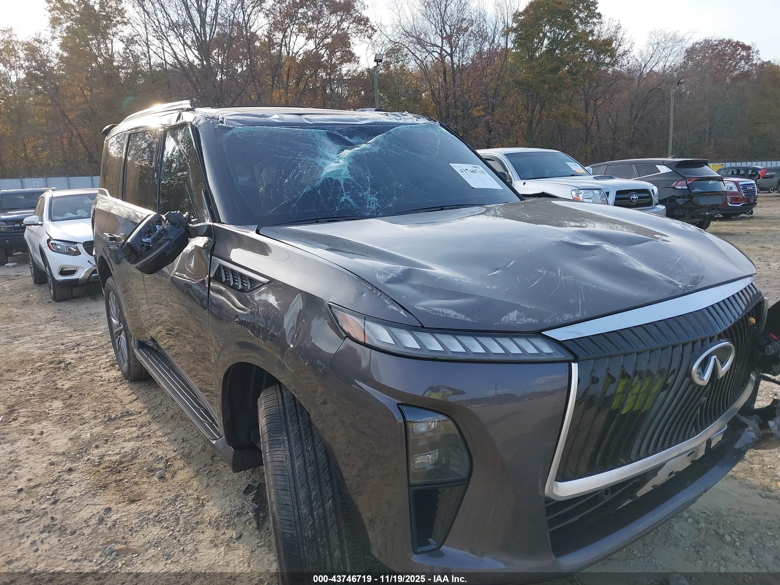 INFINITI QX80 image 6