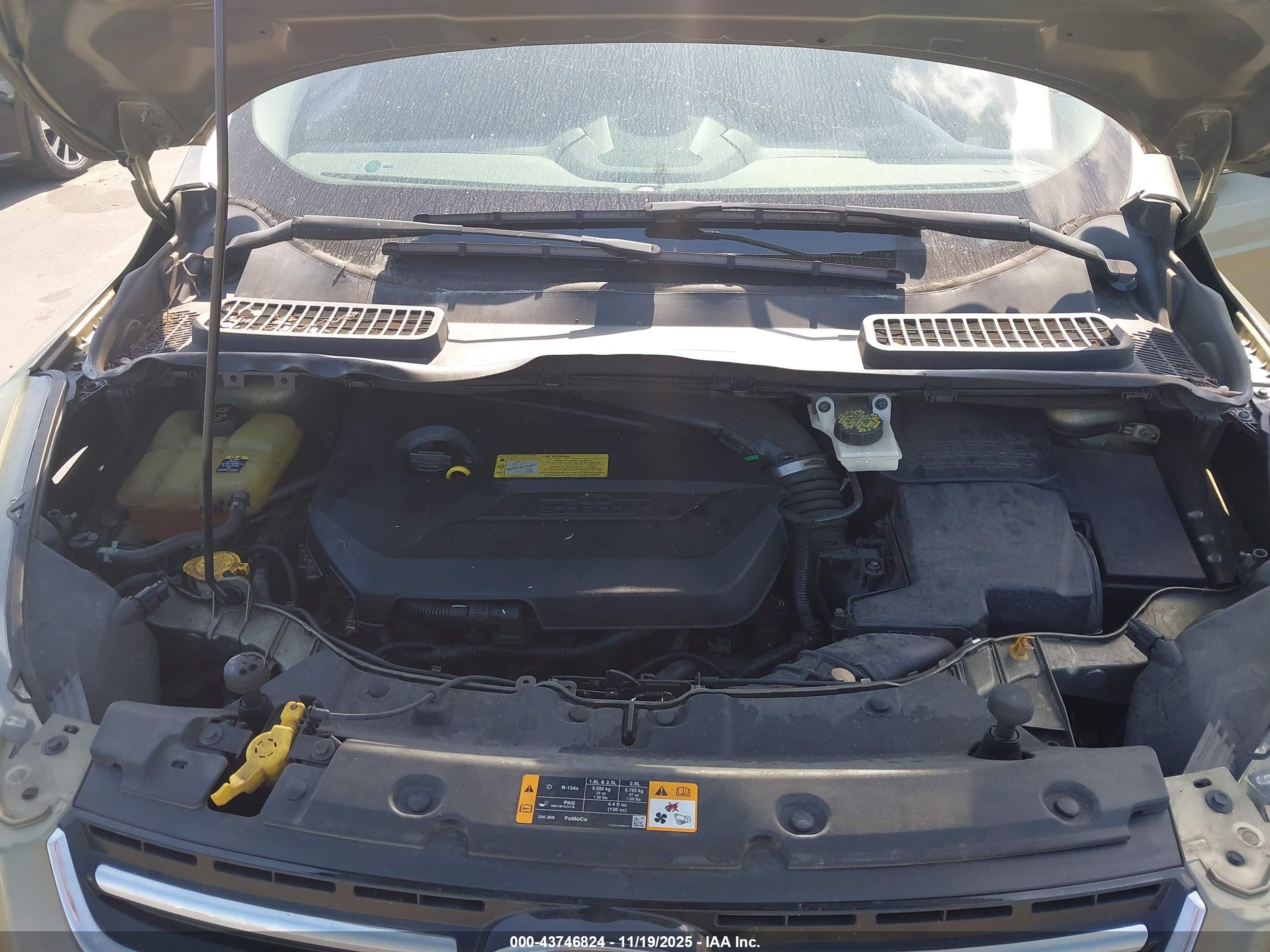 FORD ESCAPE image 10