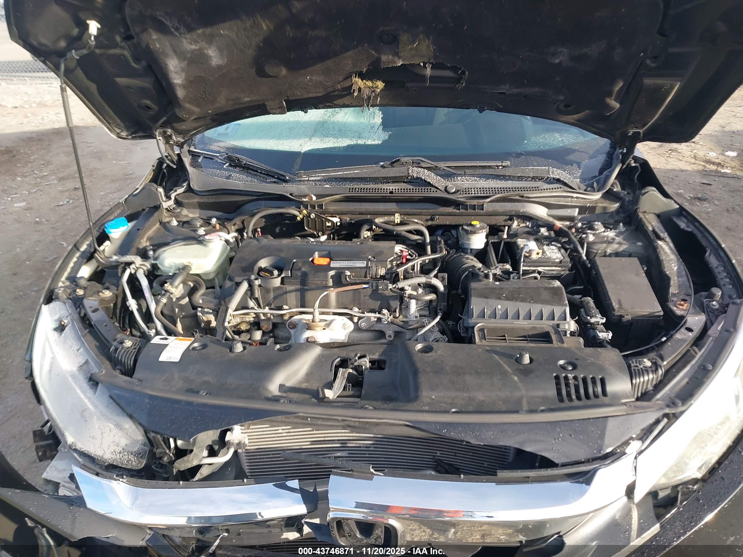 HONDA CIVIC image 10