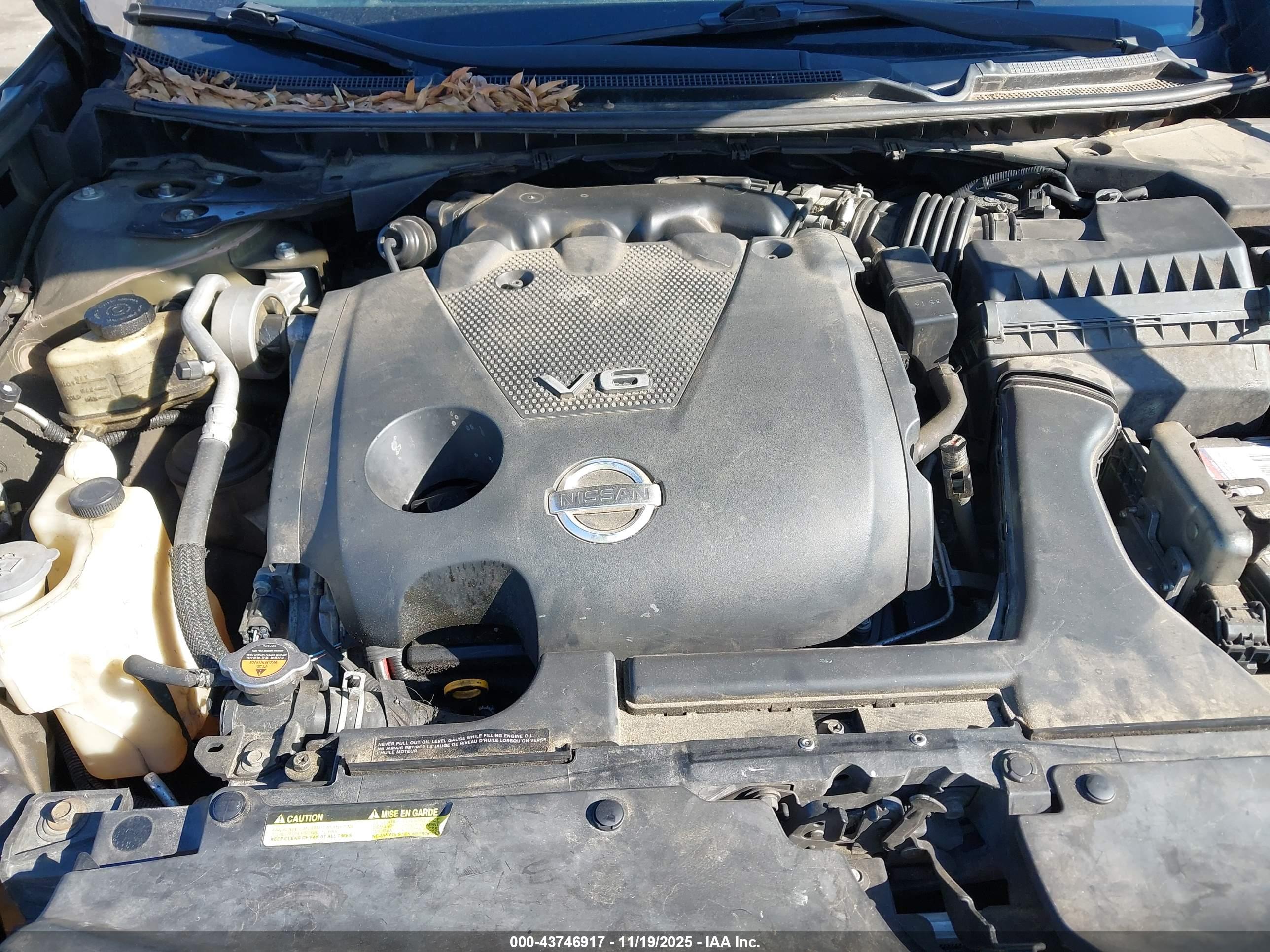 NISSAN MAXIMA image 10