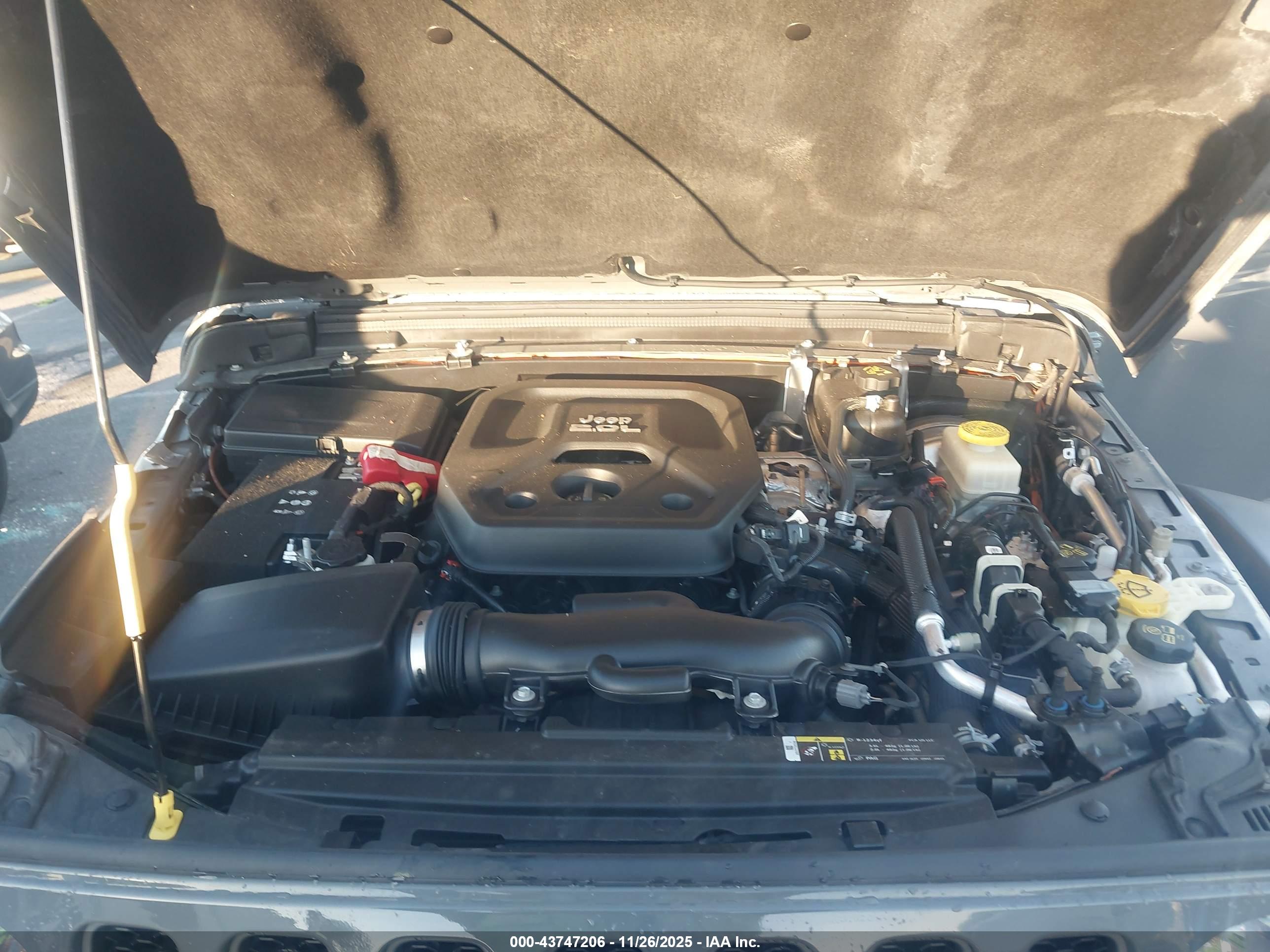 JEEP WRANGLER image 10