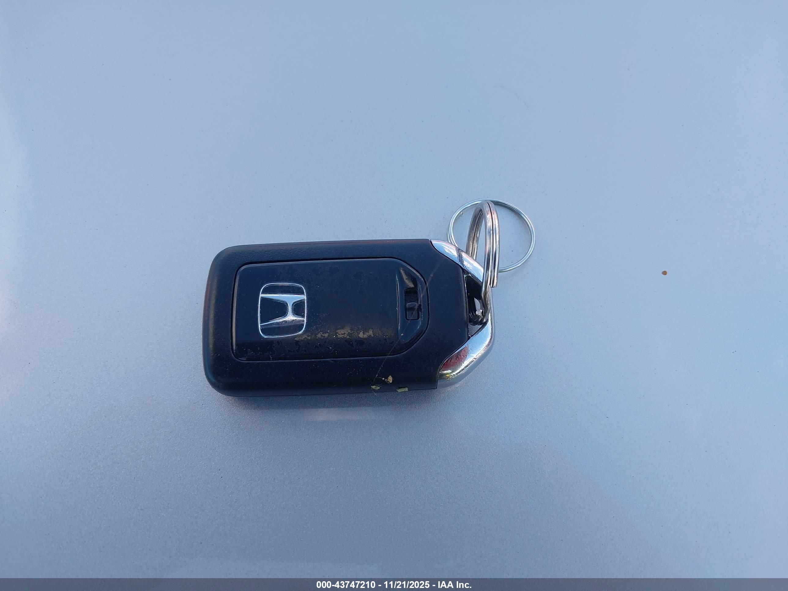 HONDA ACCORD image 11