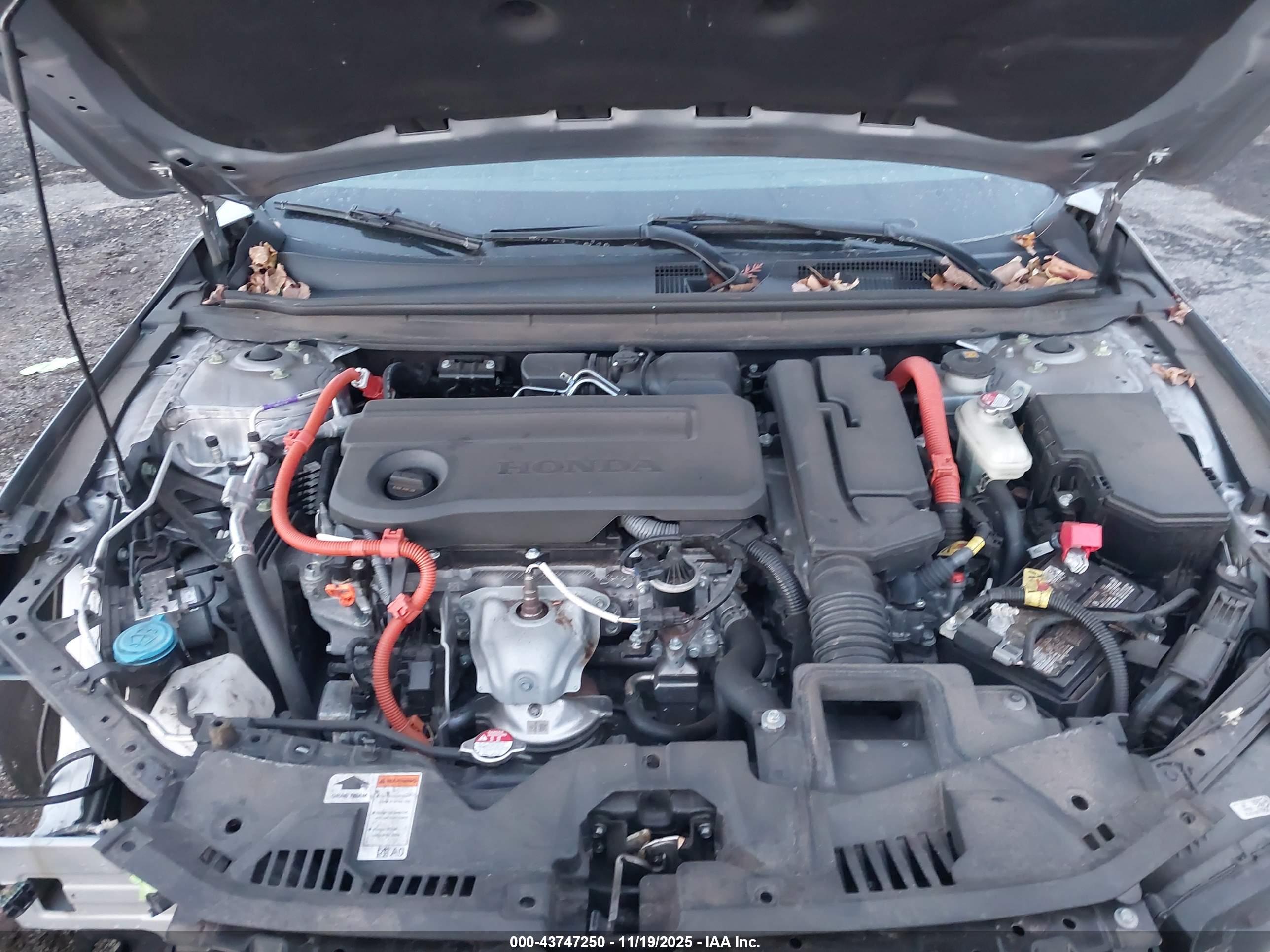 HONDA ACCORD image 10