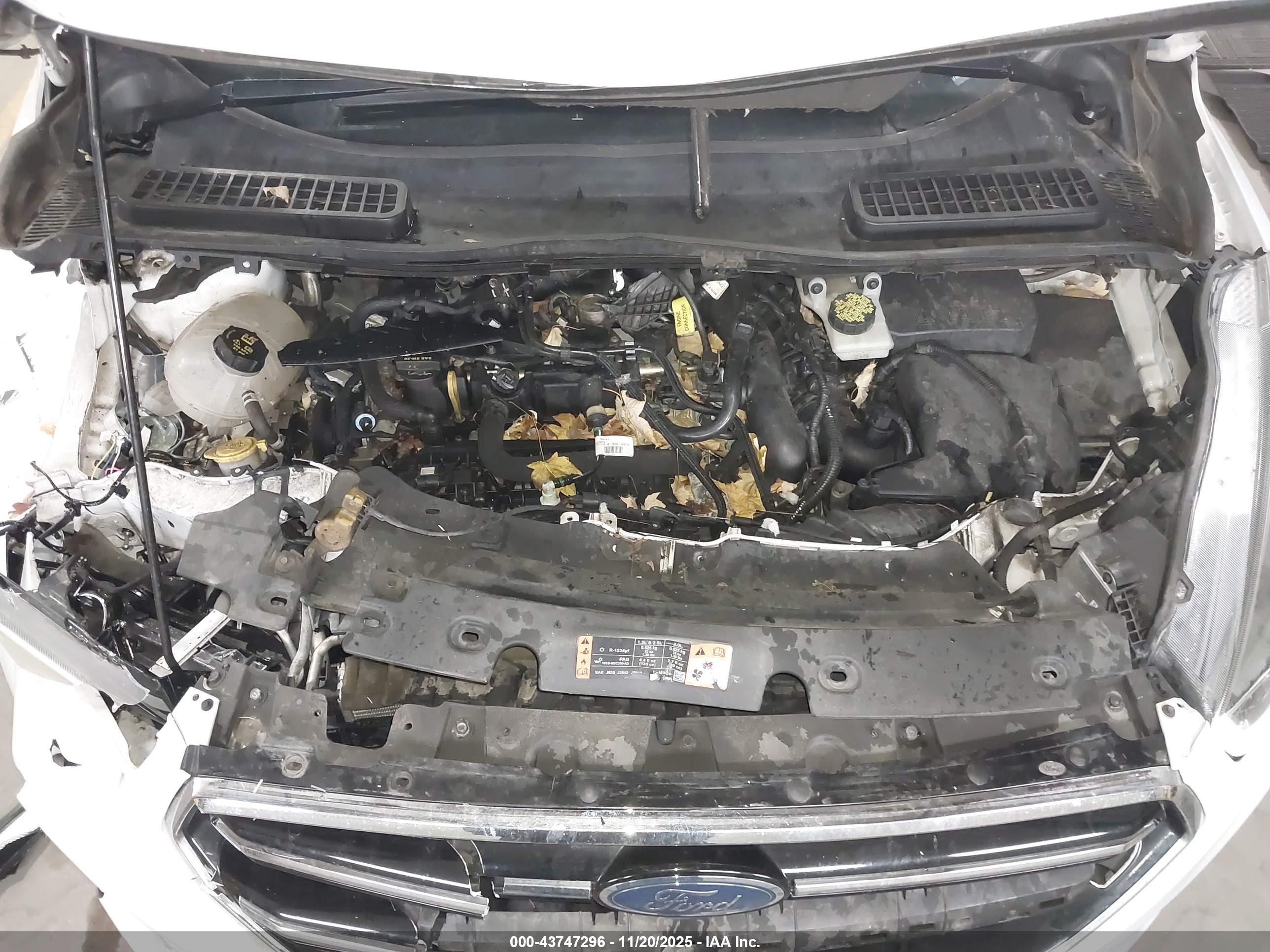 FORD ESCAPE image 10