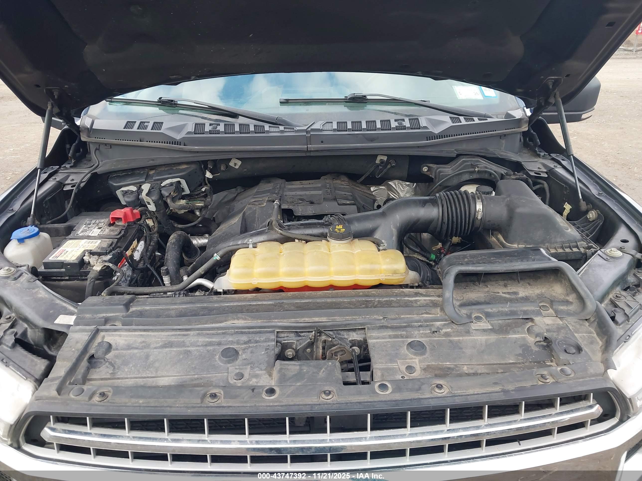 FORD F-150 image 10