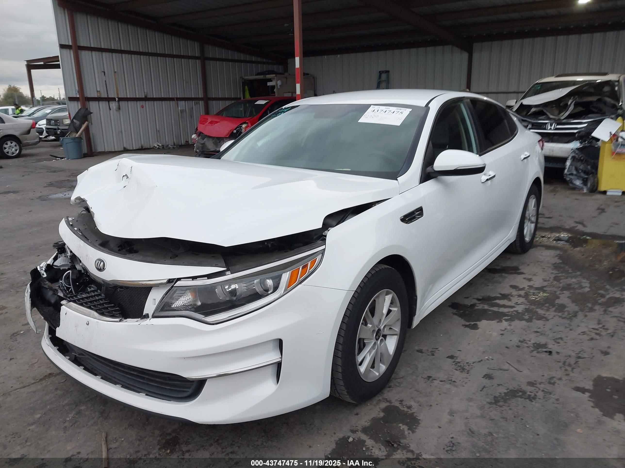 KIA OPTIMA image 6