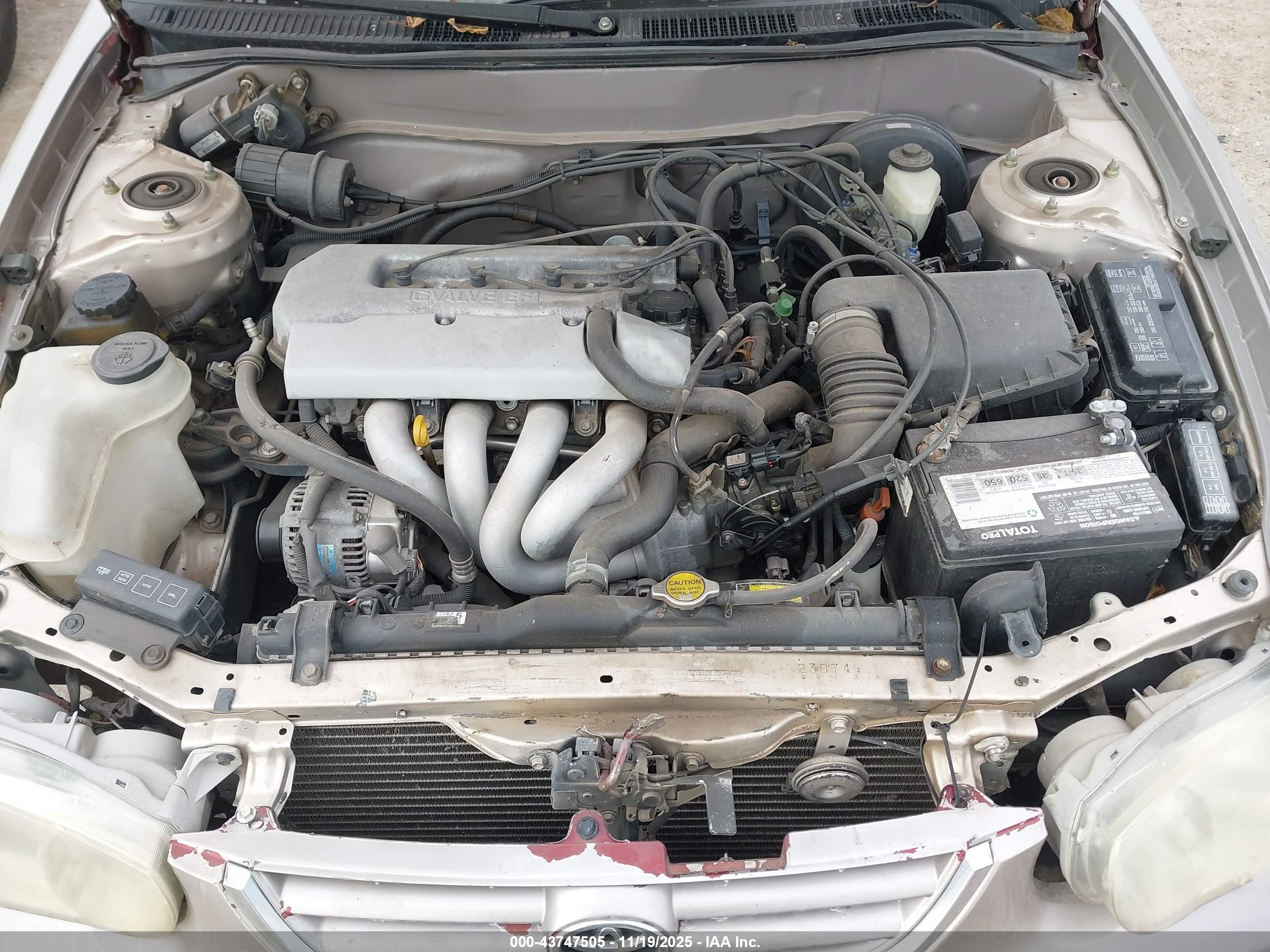 TOYOTA COROLLA image 10