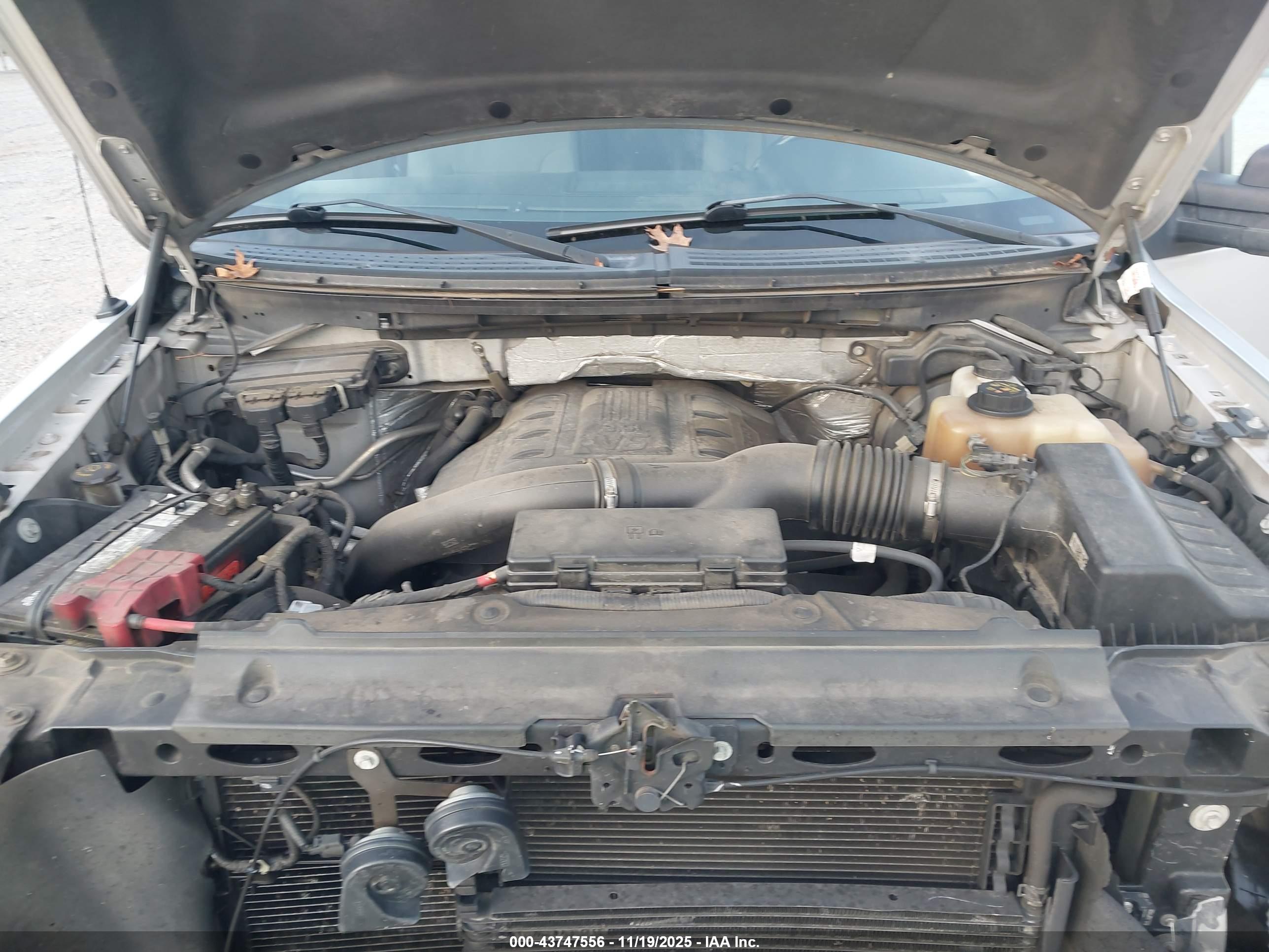 FORD F-150 image 10