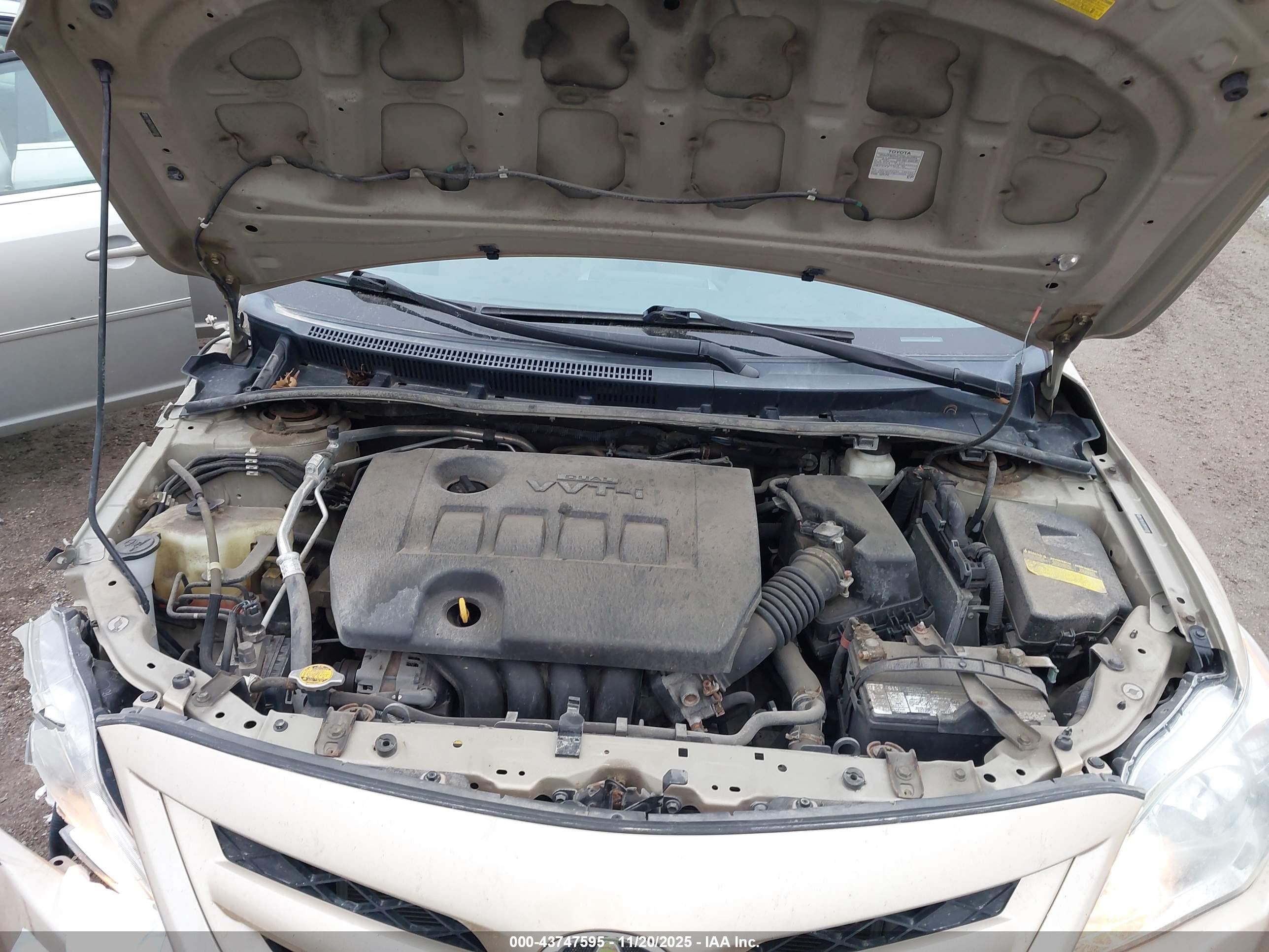 TOYOTA COROLLA image 10