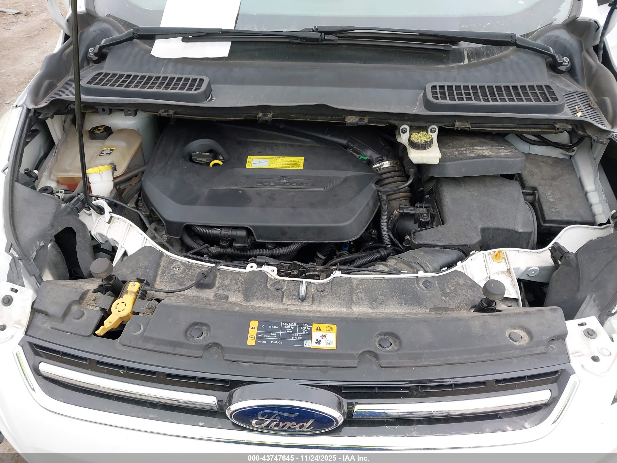 FORD ESCAPE image 10