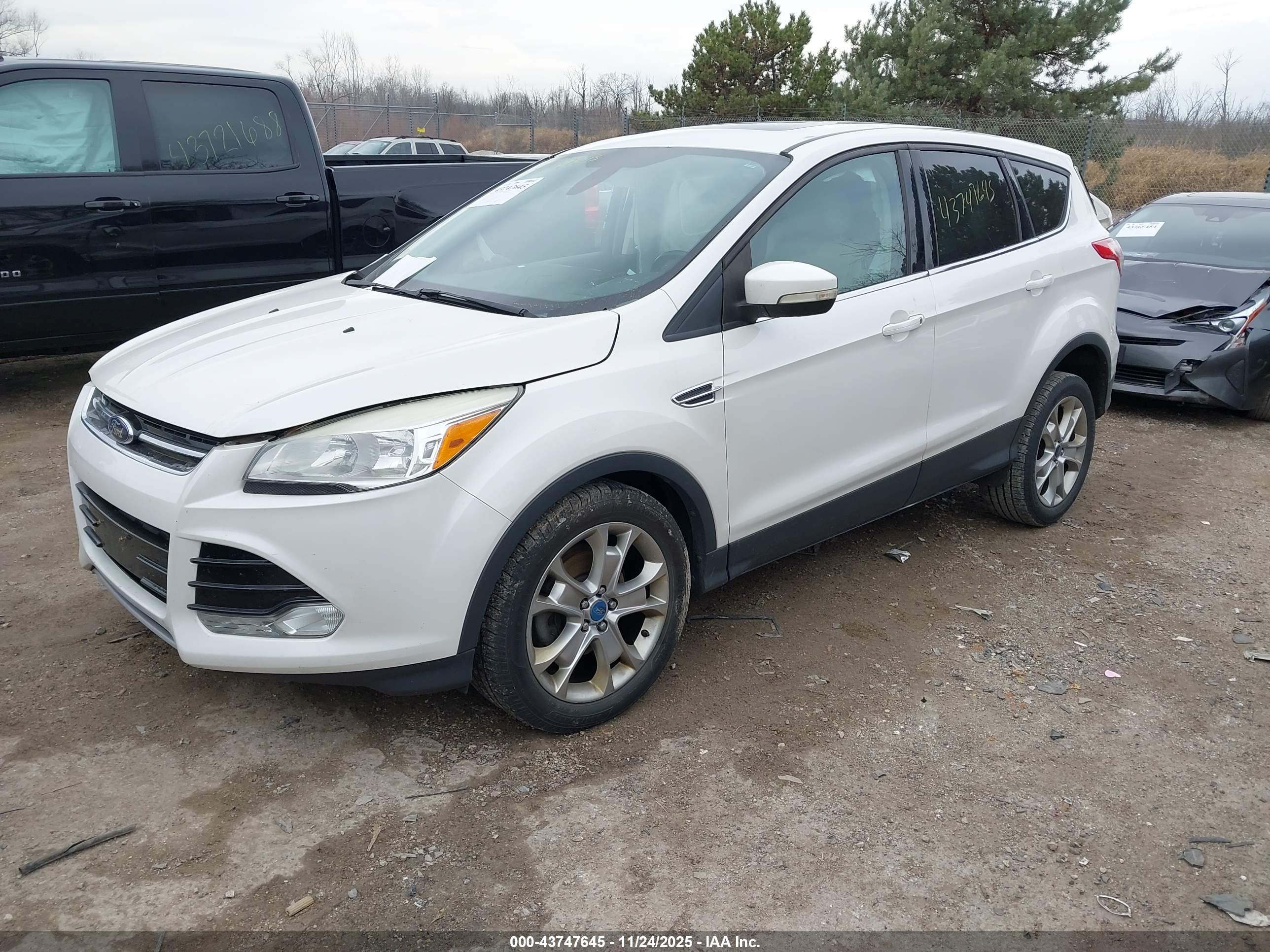 FORD ESCAPE image 2