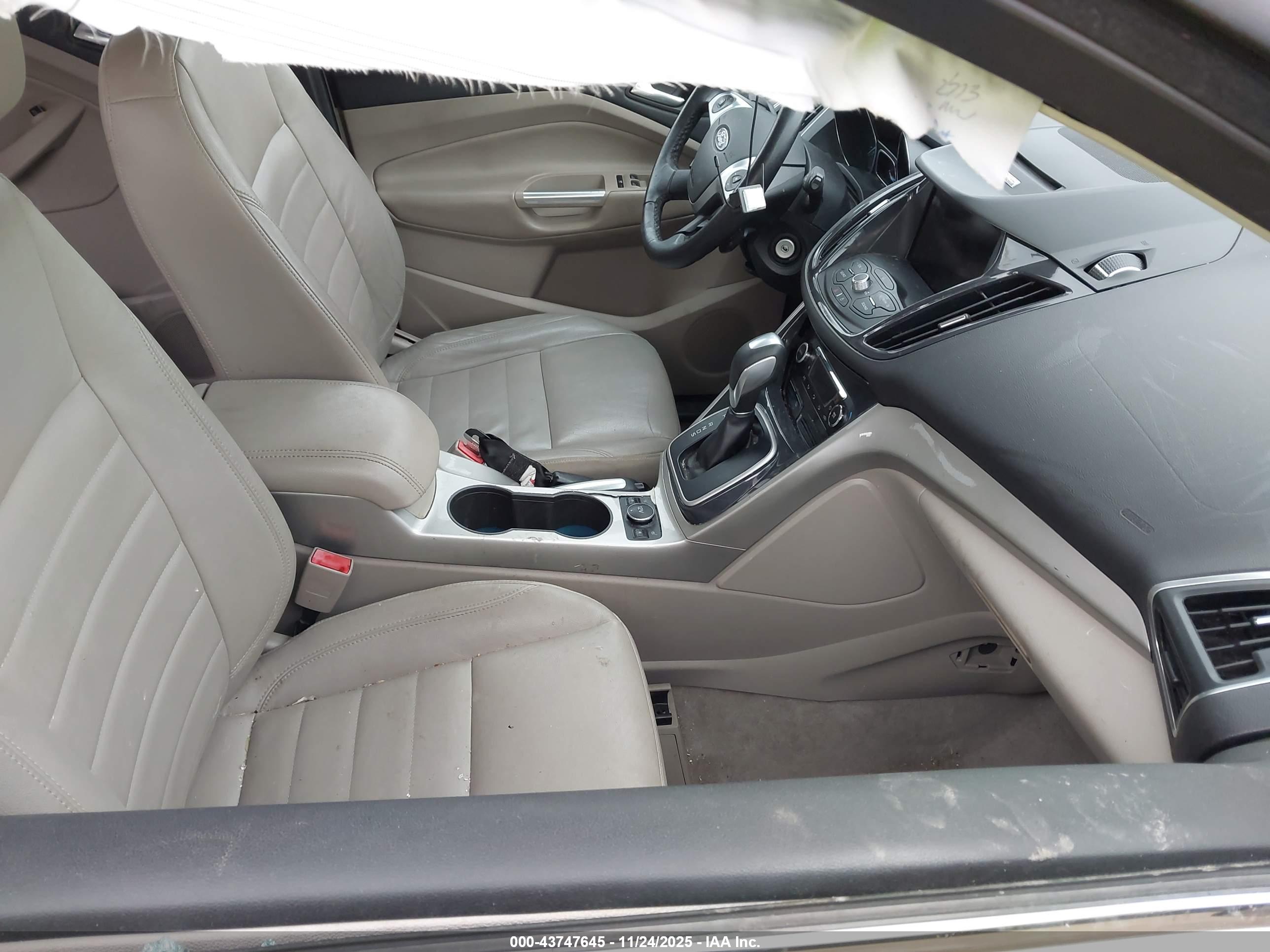 FORD ESCAPE image 5