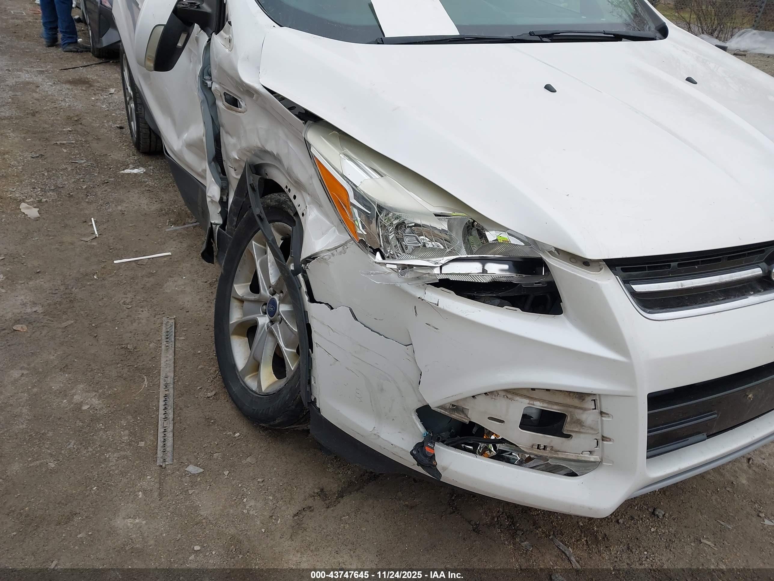 FORD ESCAPE image 6