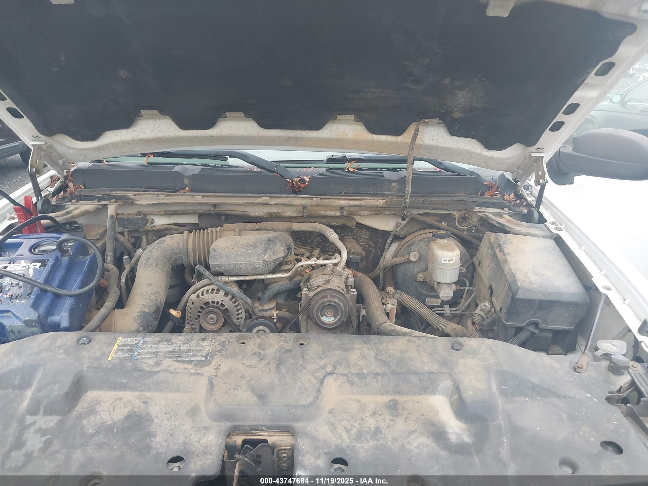 CHEVROLET SILVERADO image 10