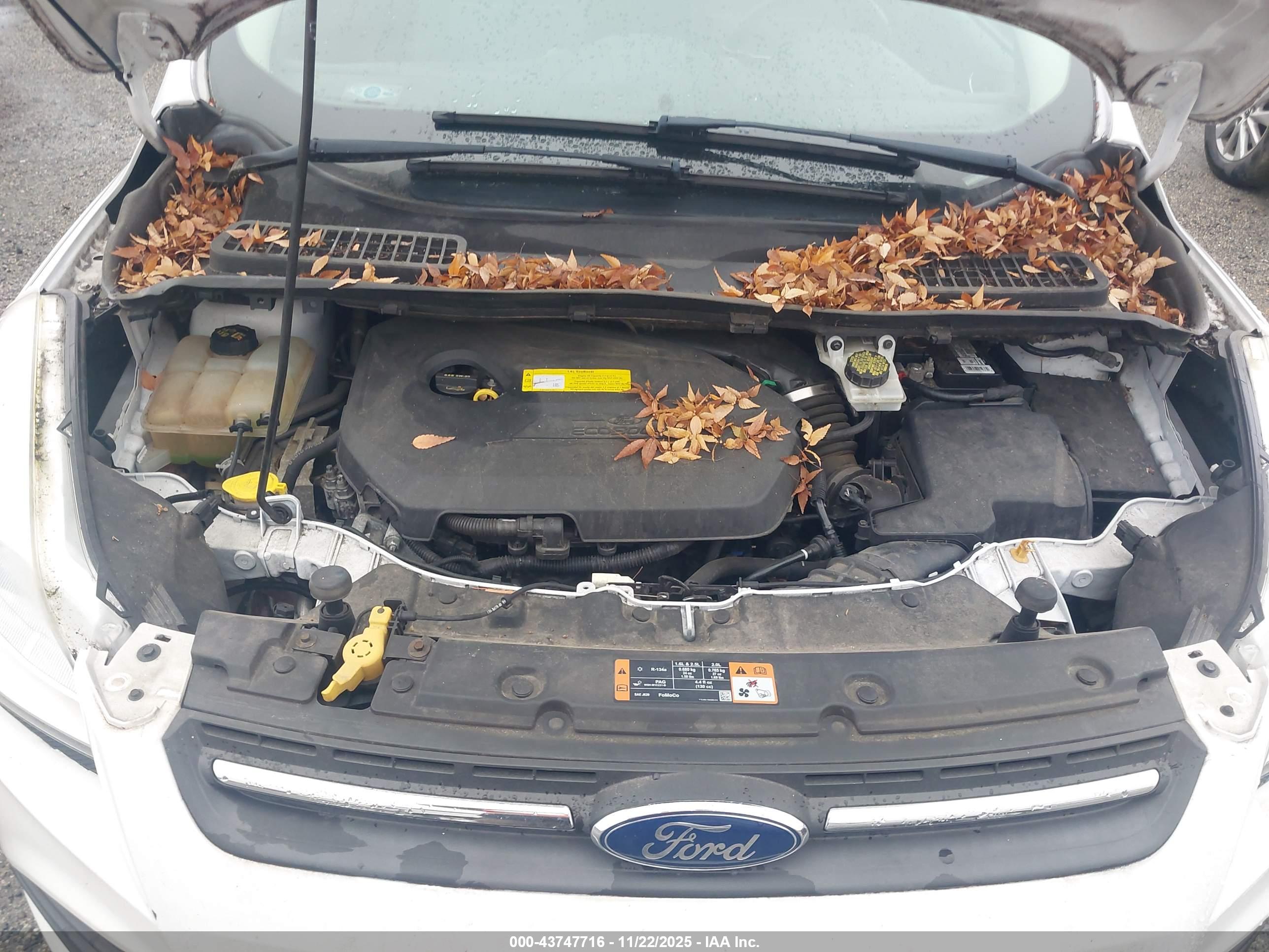 FORD ESCAPE image 10