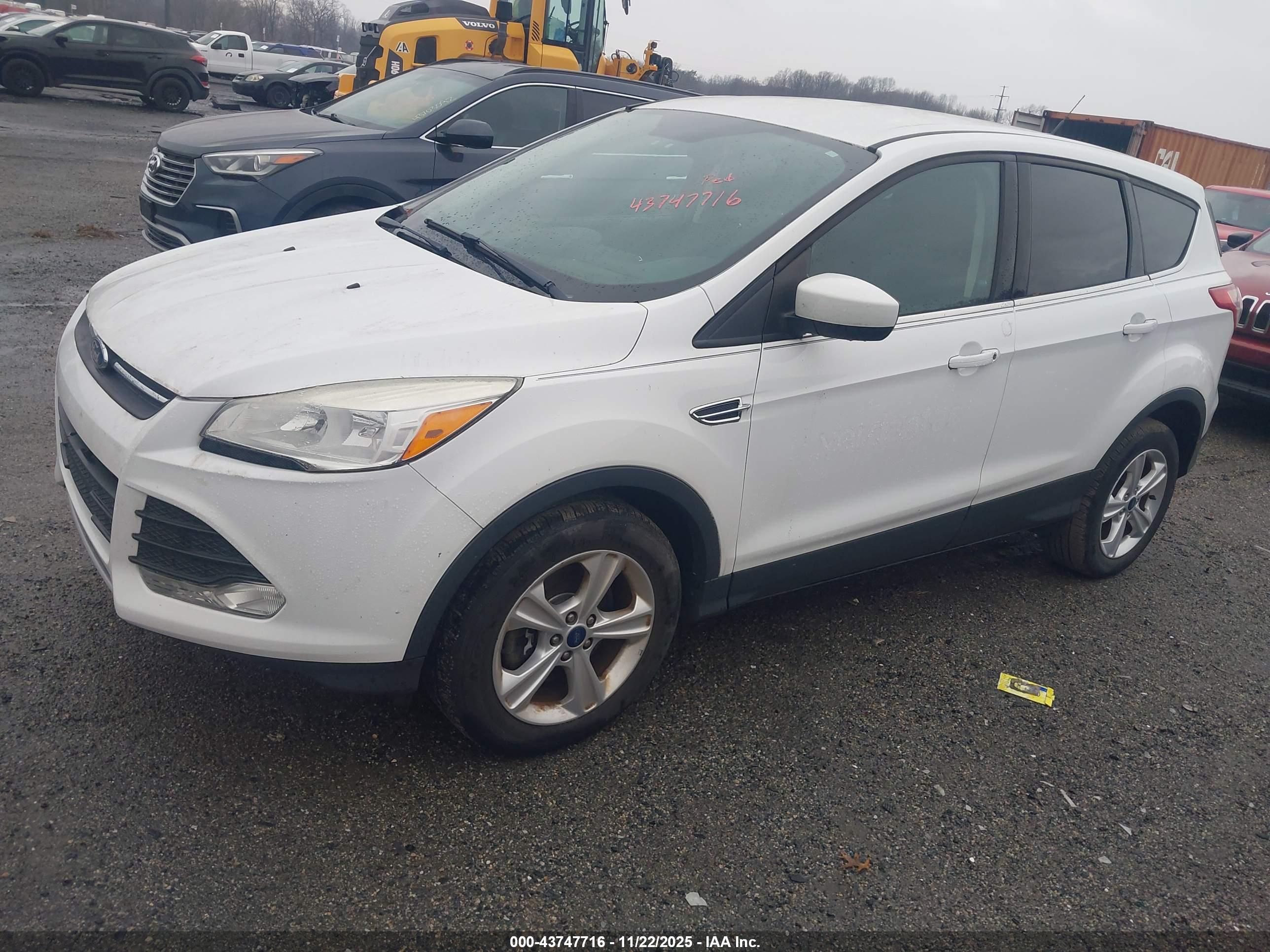 FORD ESCAPE image 2