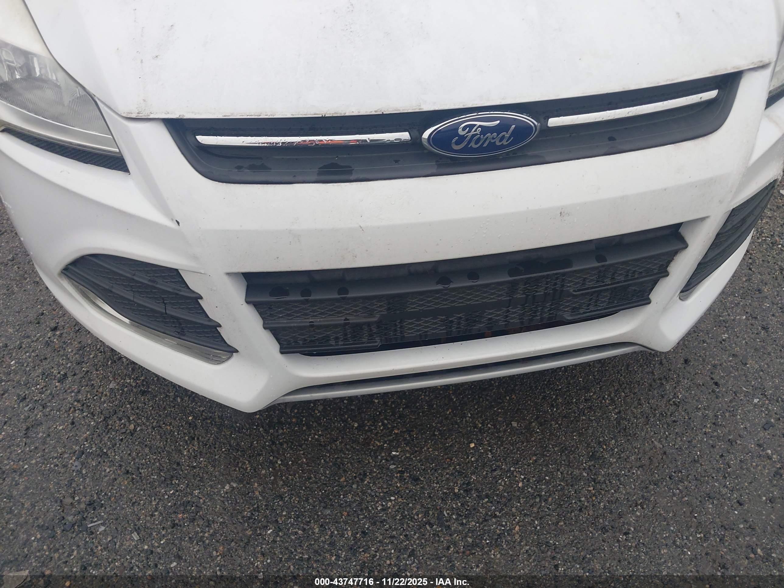 FORD ESCAPE image 6