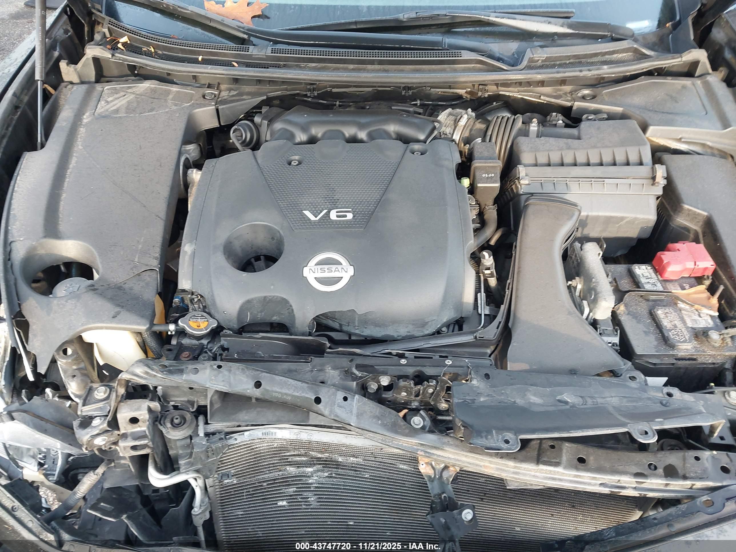NISSAN MAXIMA image 10