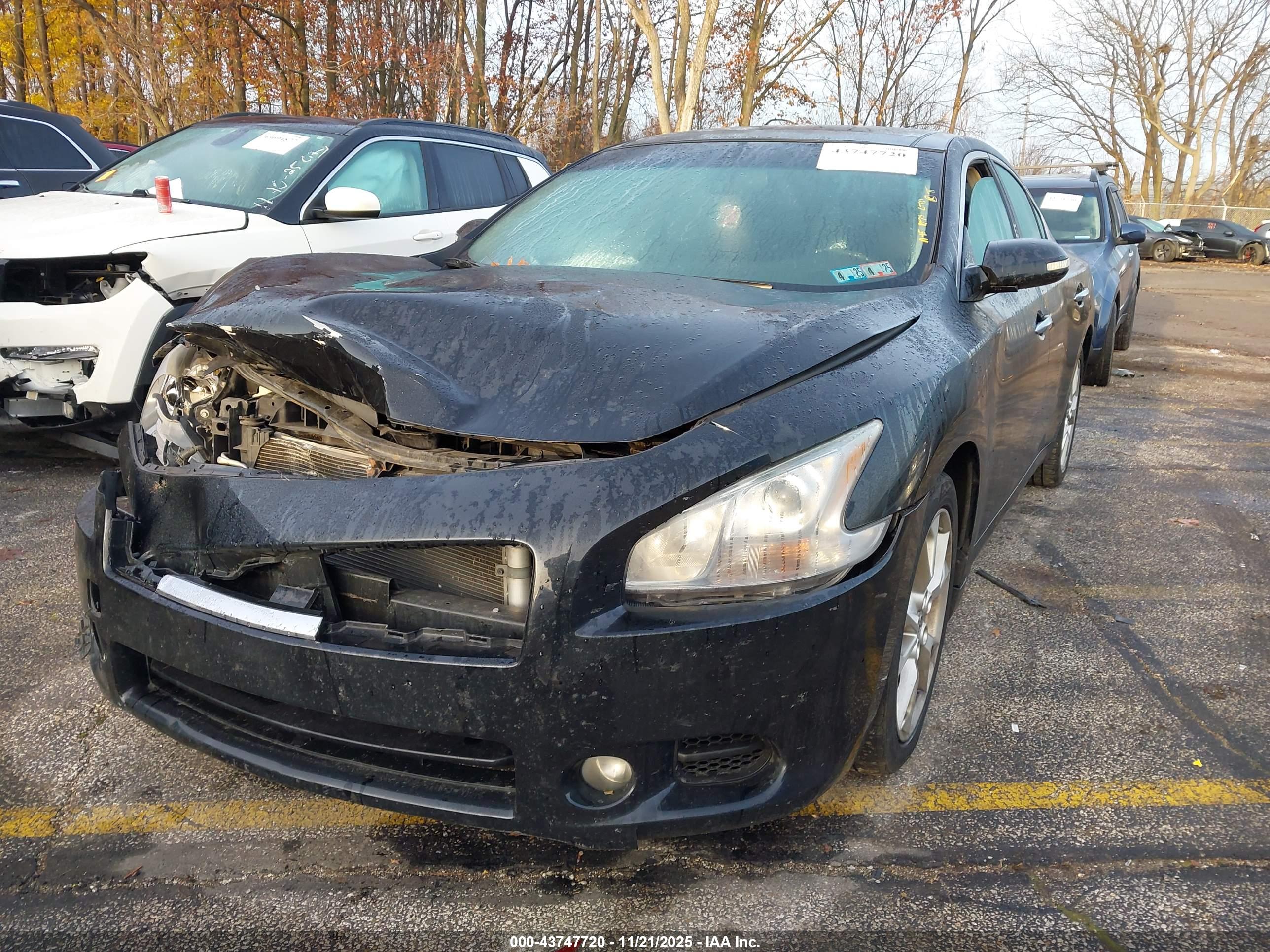 NISSAN MAXIMA image 2