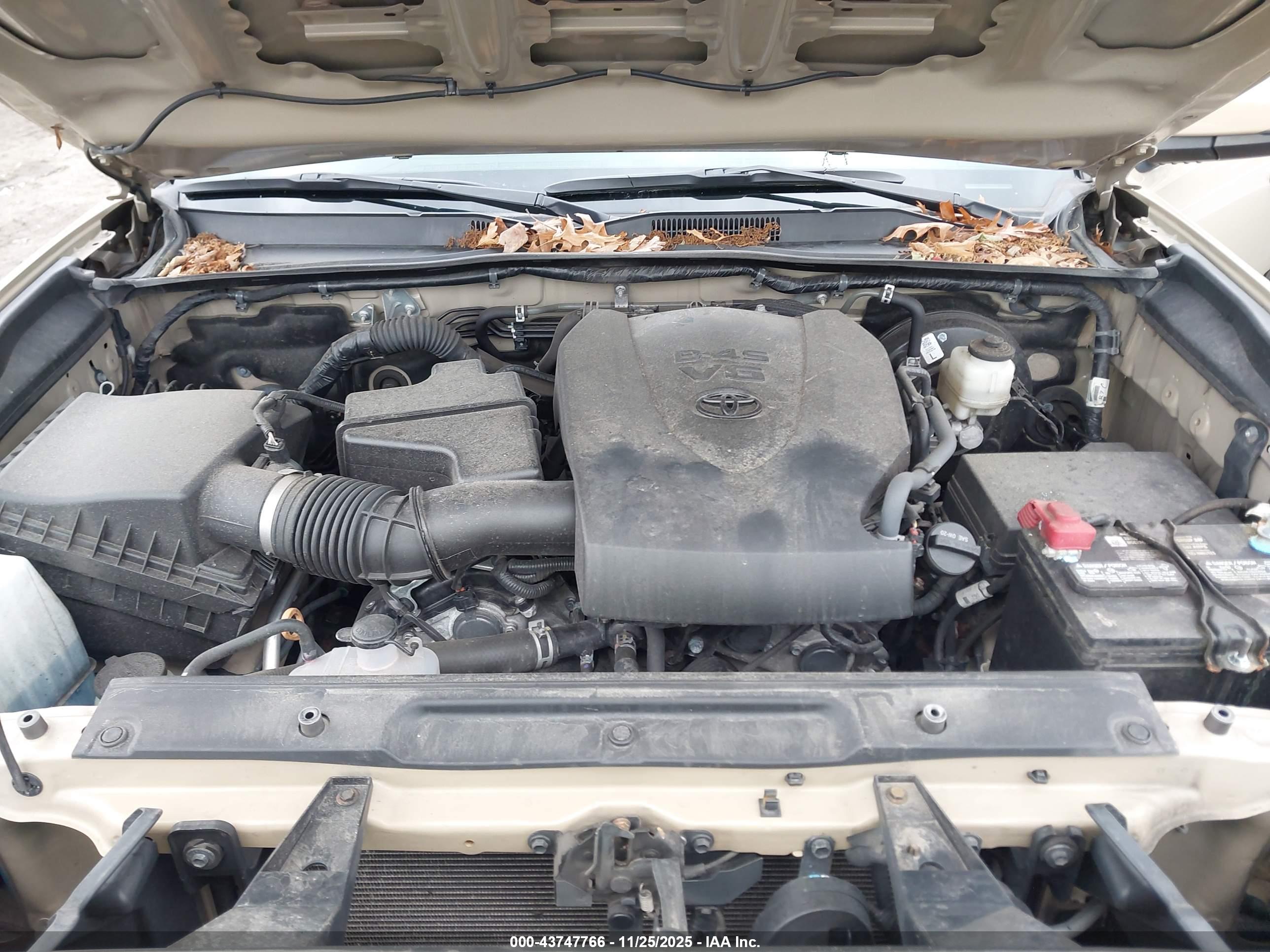 TOYOTA TACOMA image 10