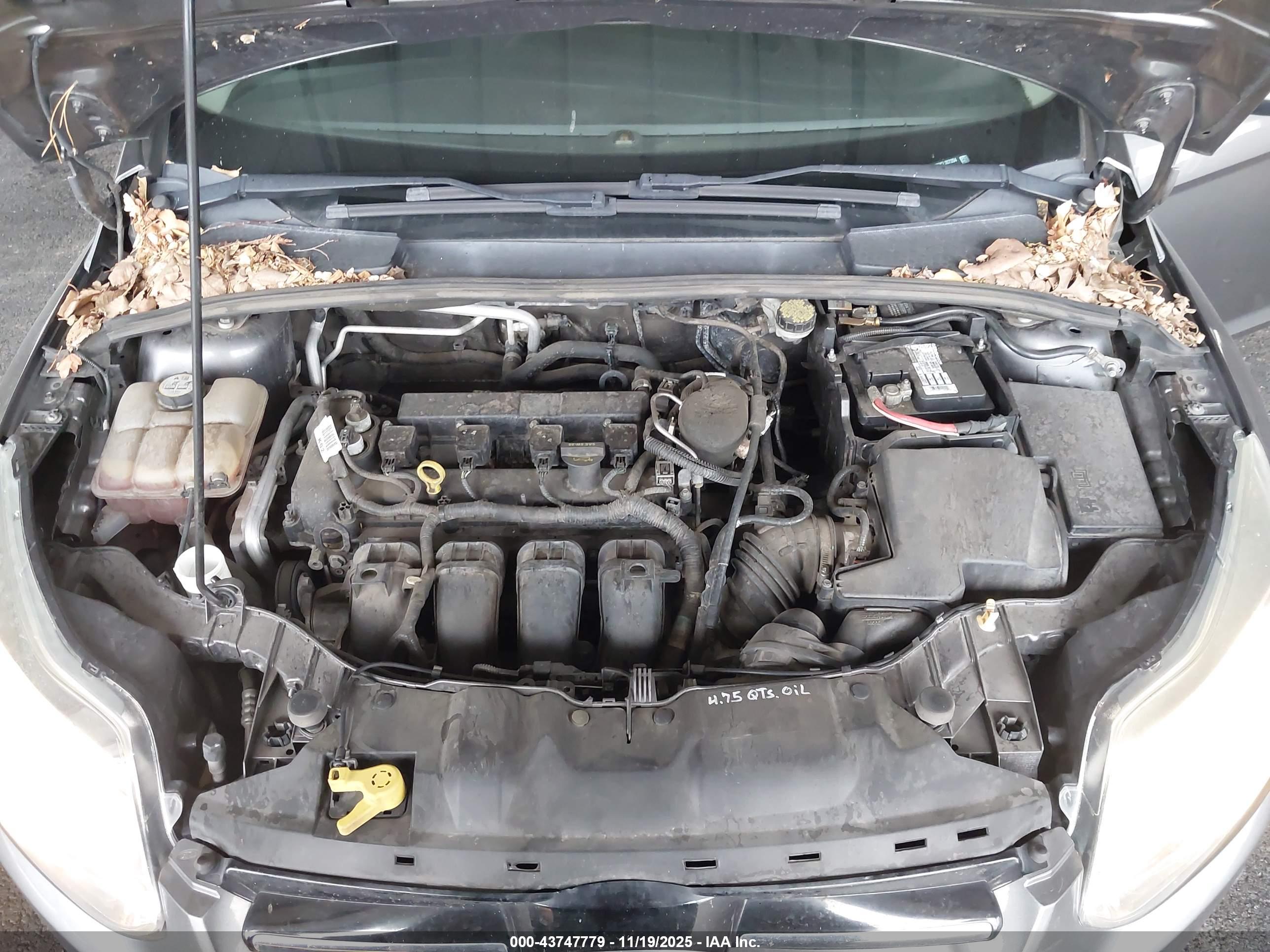 FORD FOCUS image 10