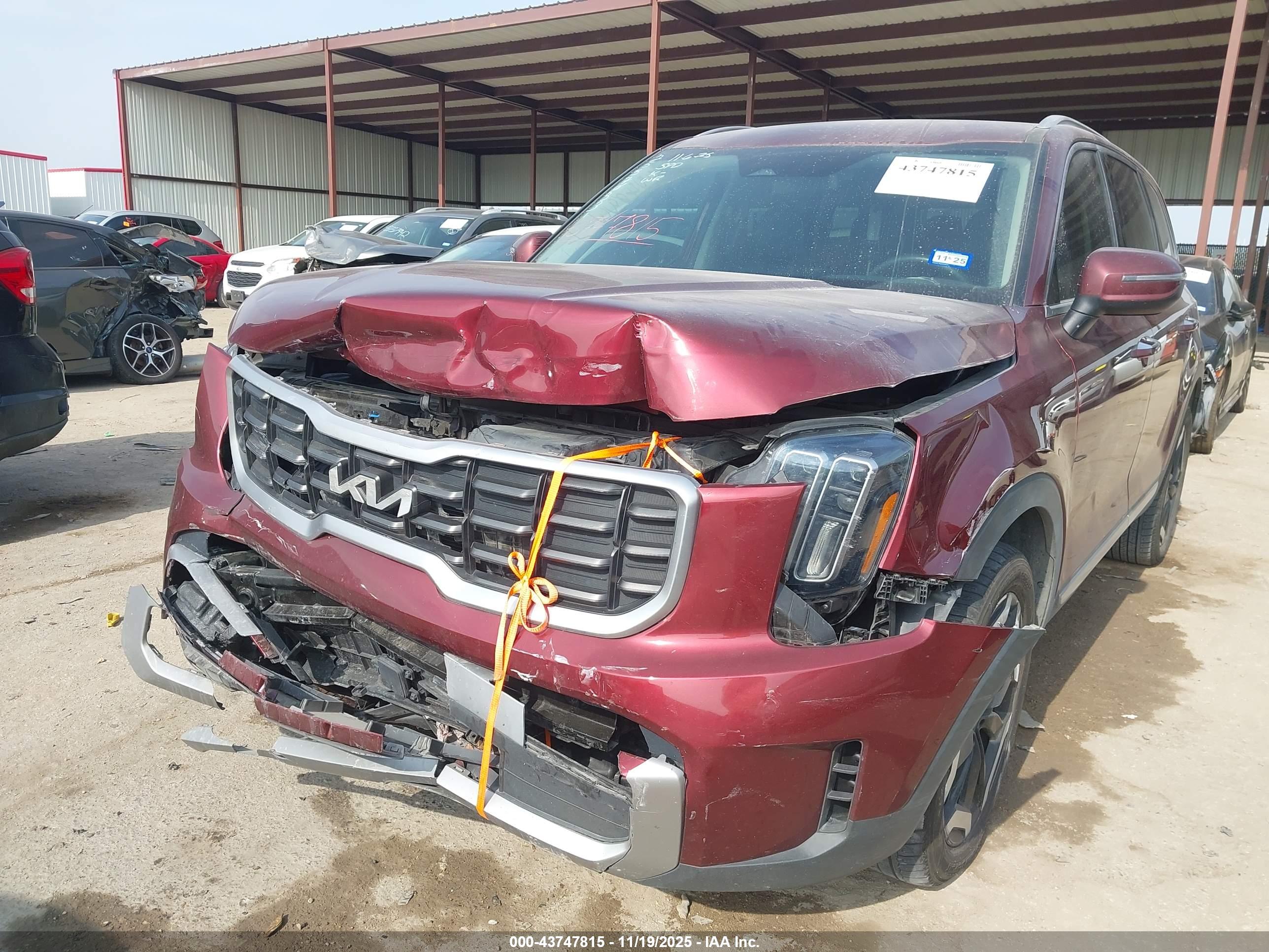 KIA TELLURIDE image 6