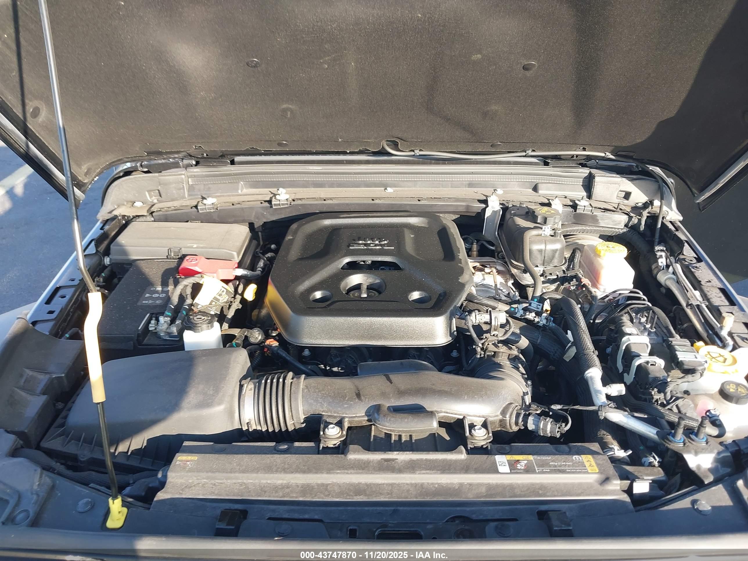 JEEP WRANGLER image 10