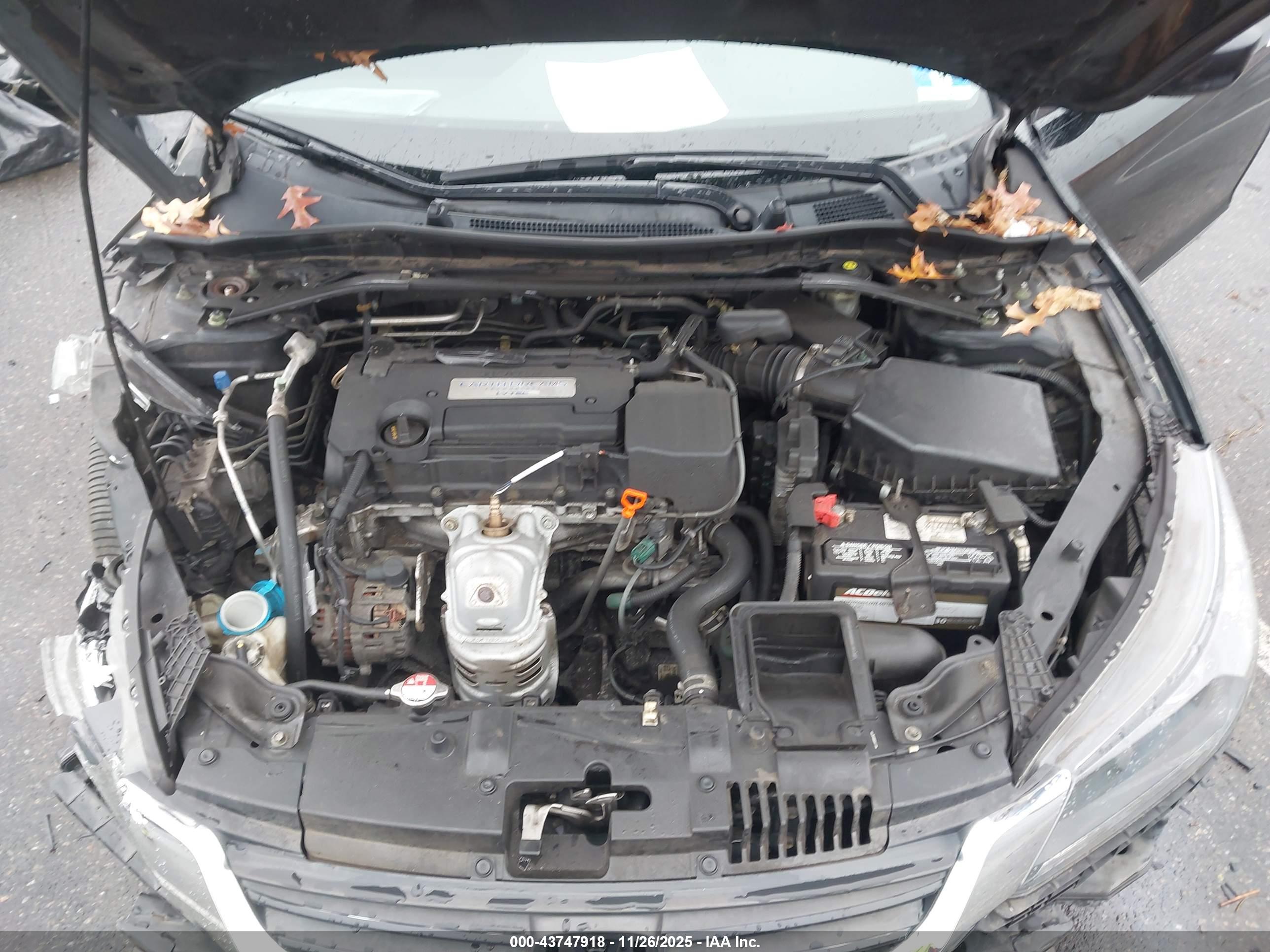 HONDA ACCORD image 10