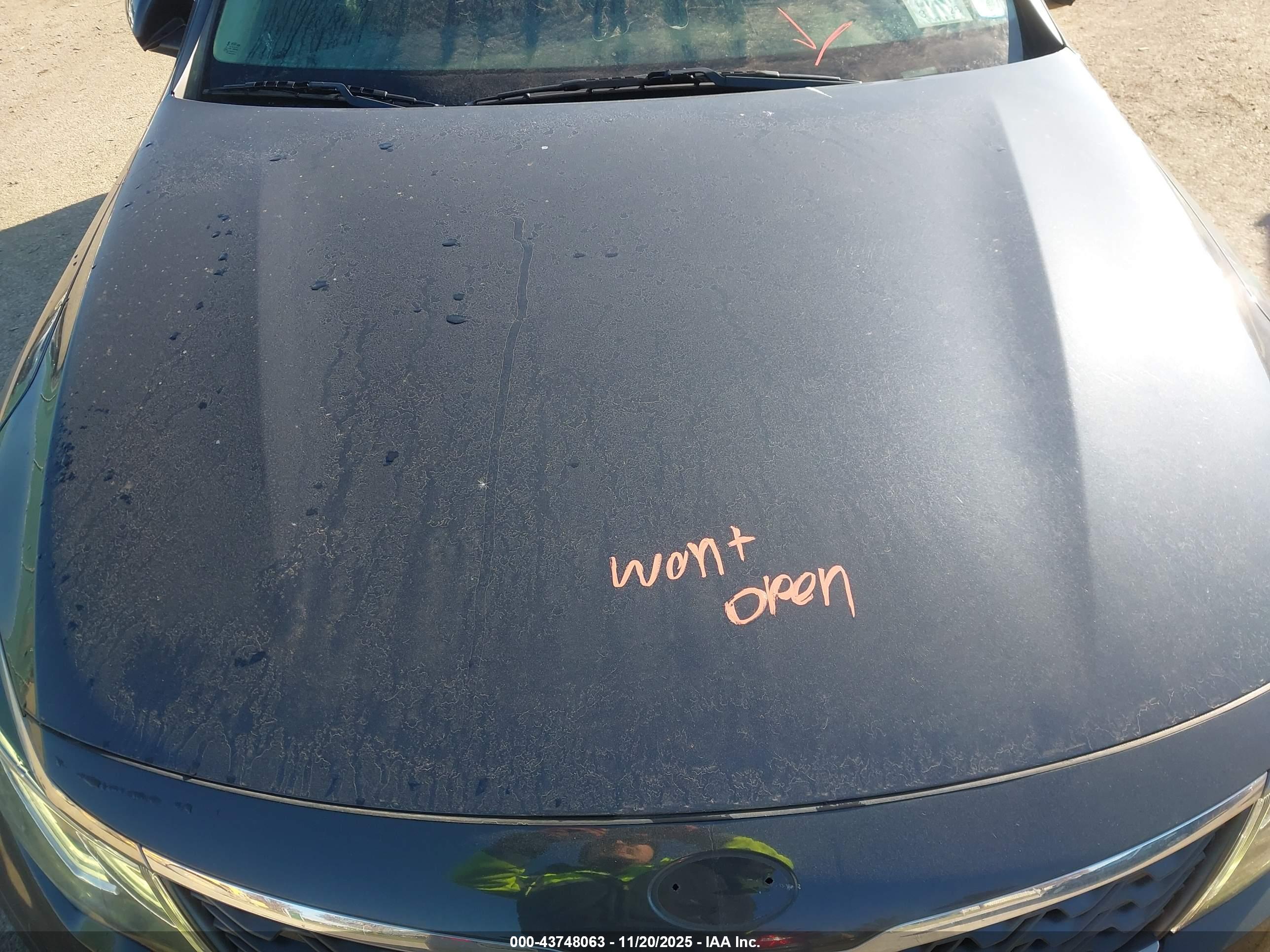 KIA OPTIMA image 10