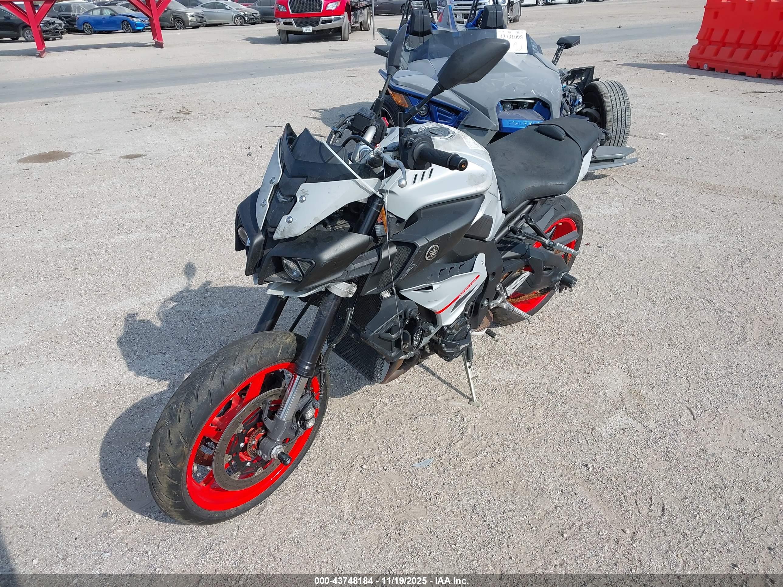 YAMAHA MTN1000 image 2