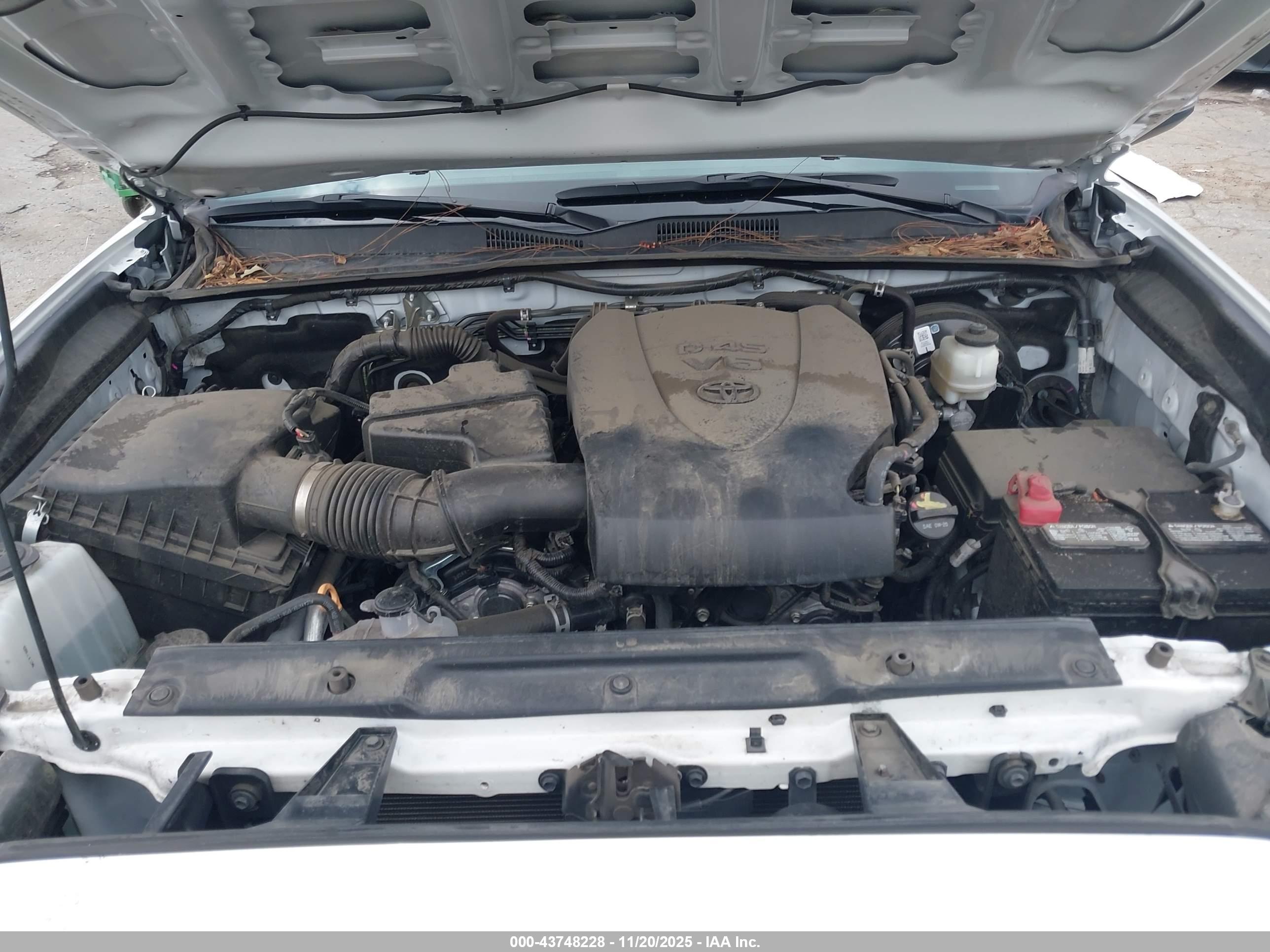 TOYOTA TACOMA image 10