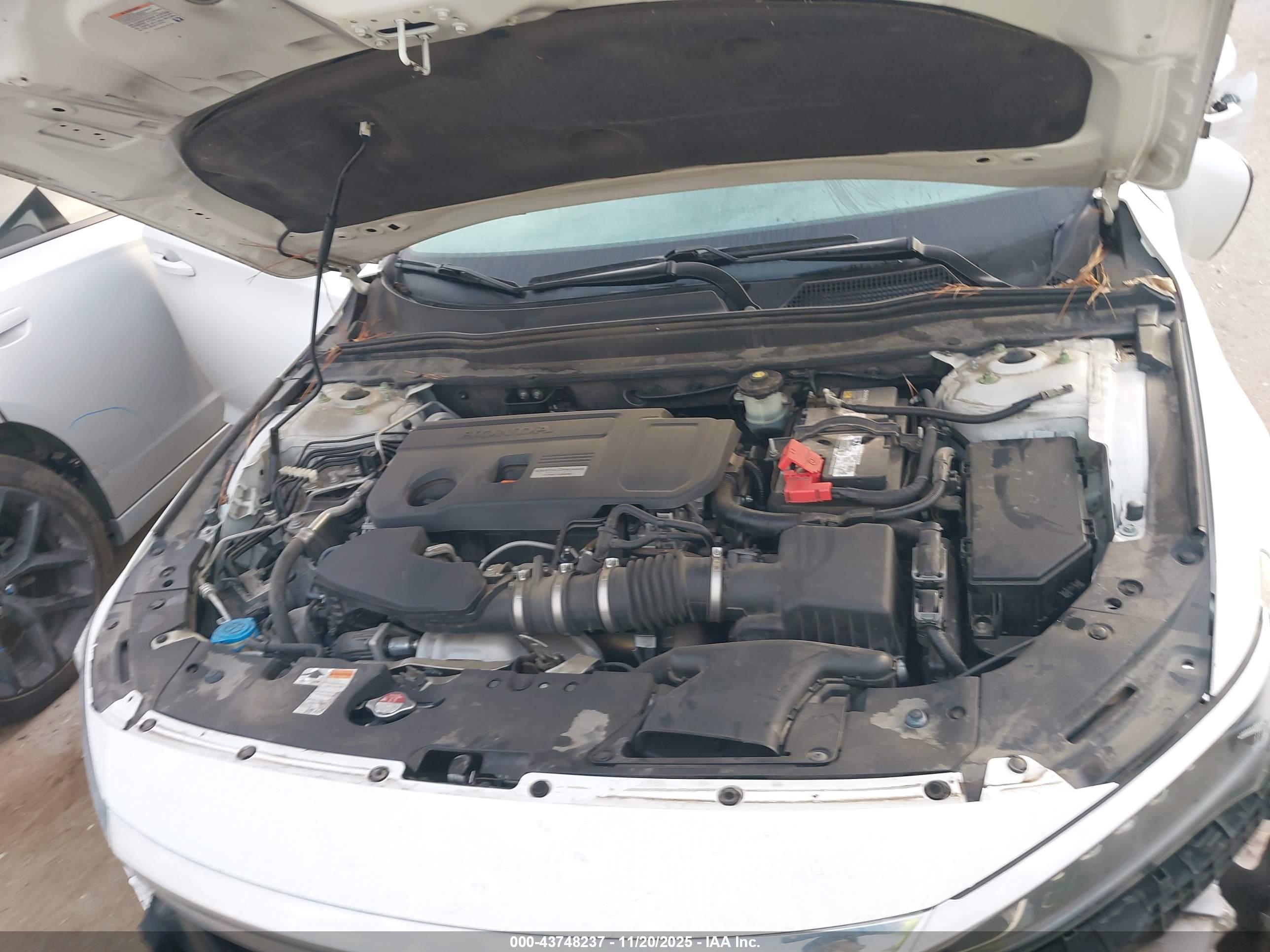 HONDA ACCORD image 10
