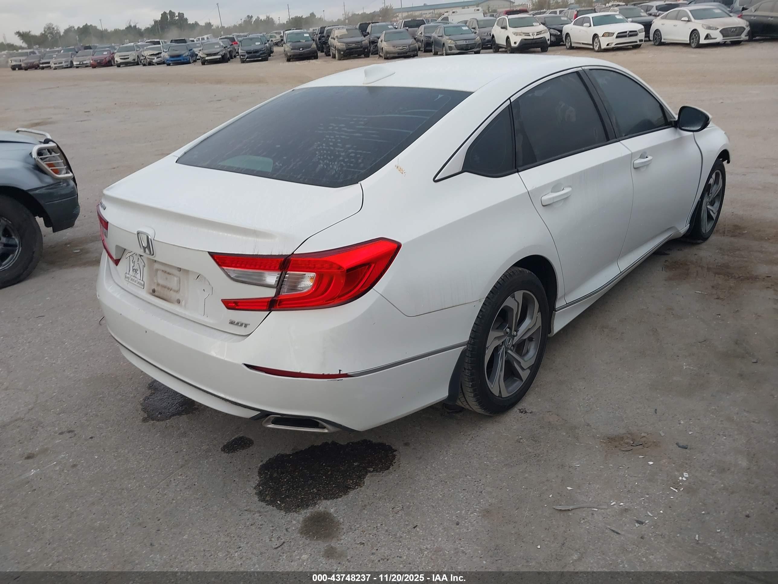HONDA ACCORD image 4