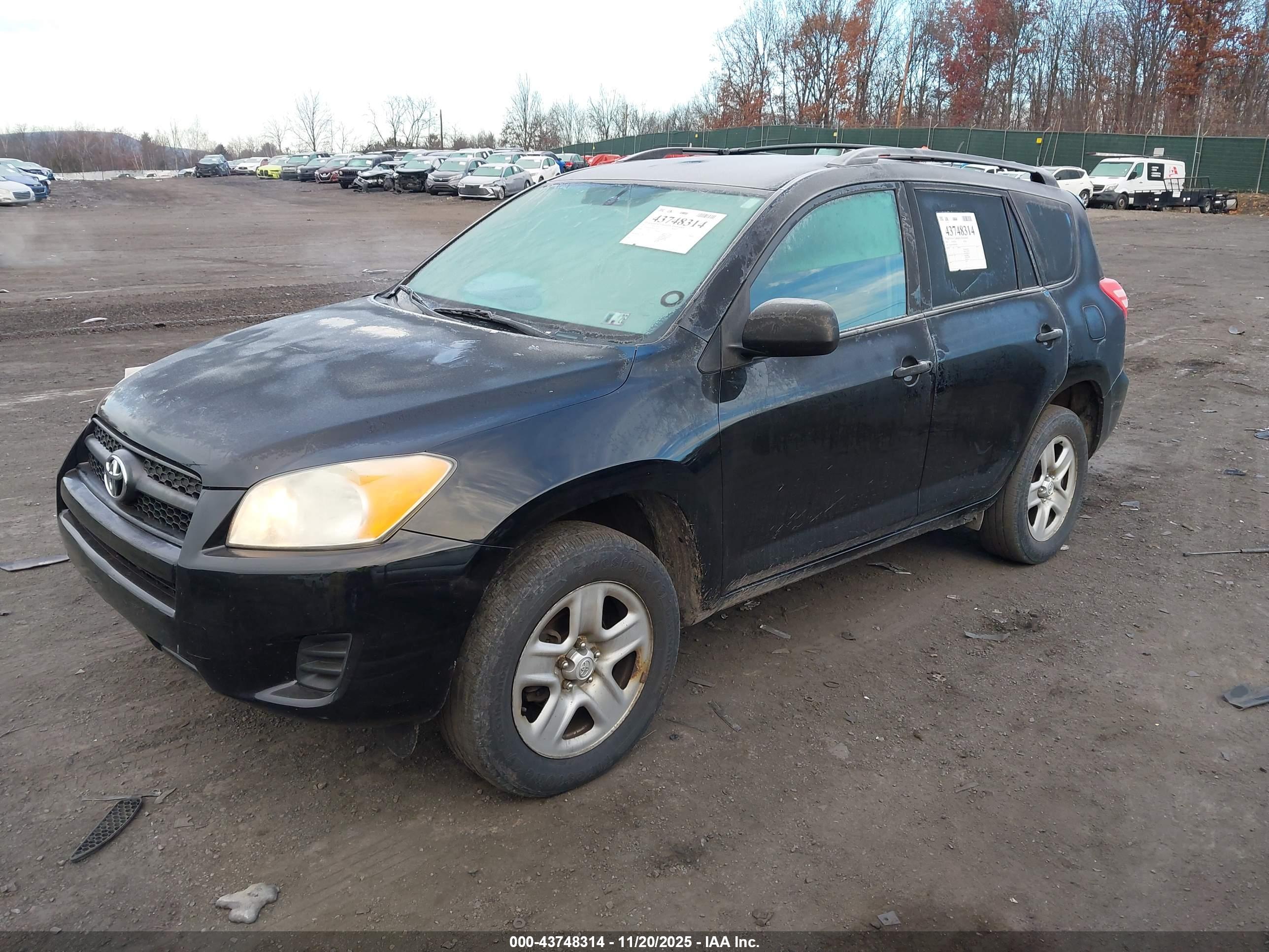 TOYOTA RAV4 image 2