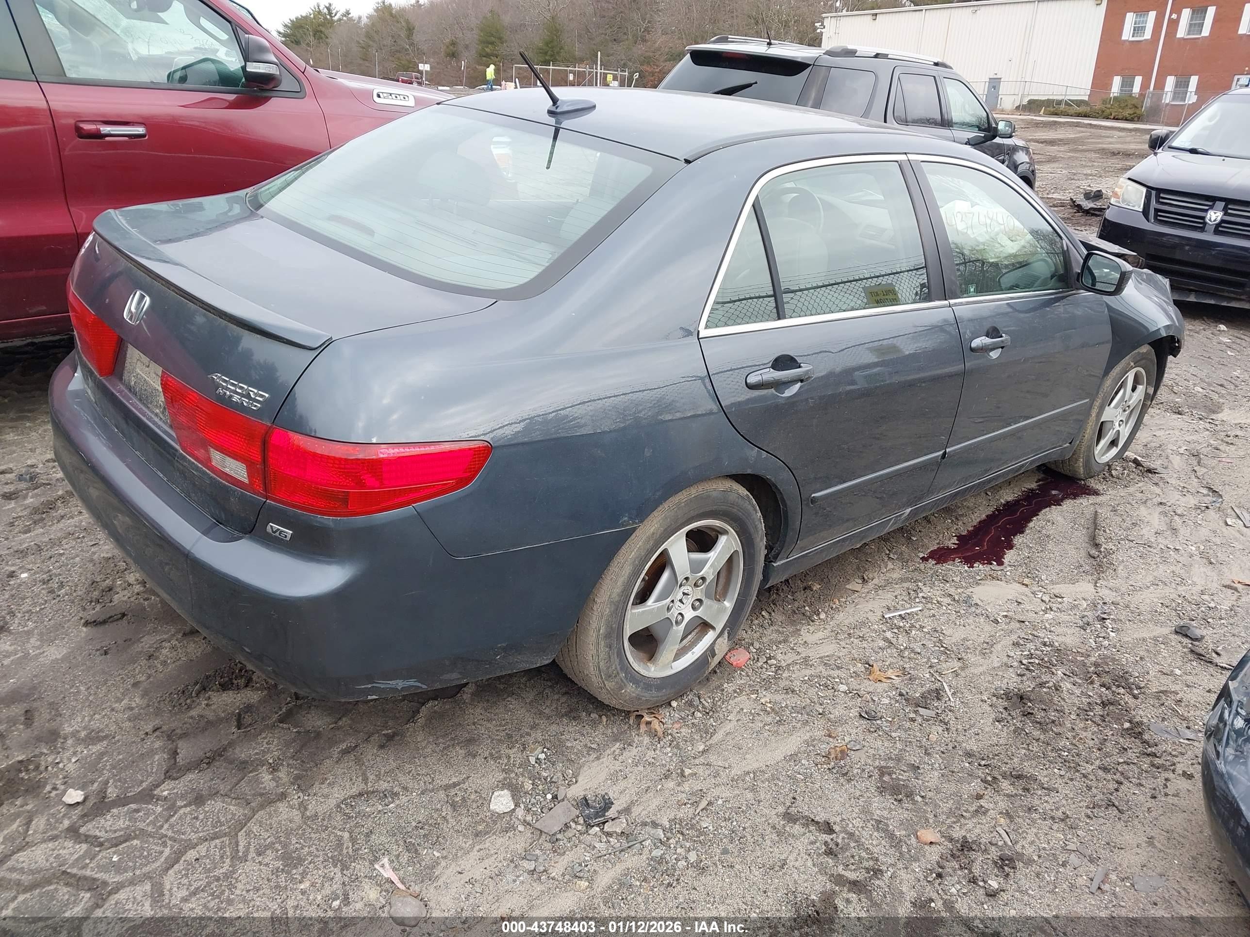 HONDA ACCORD image 4