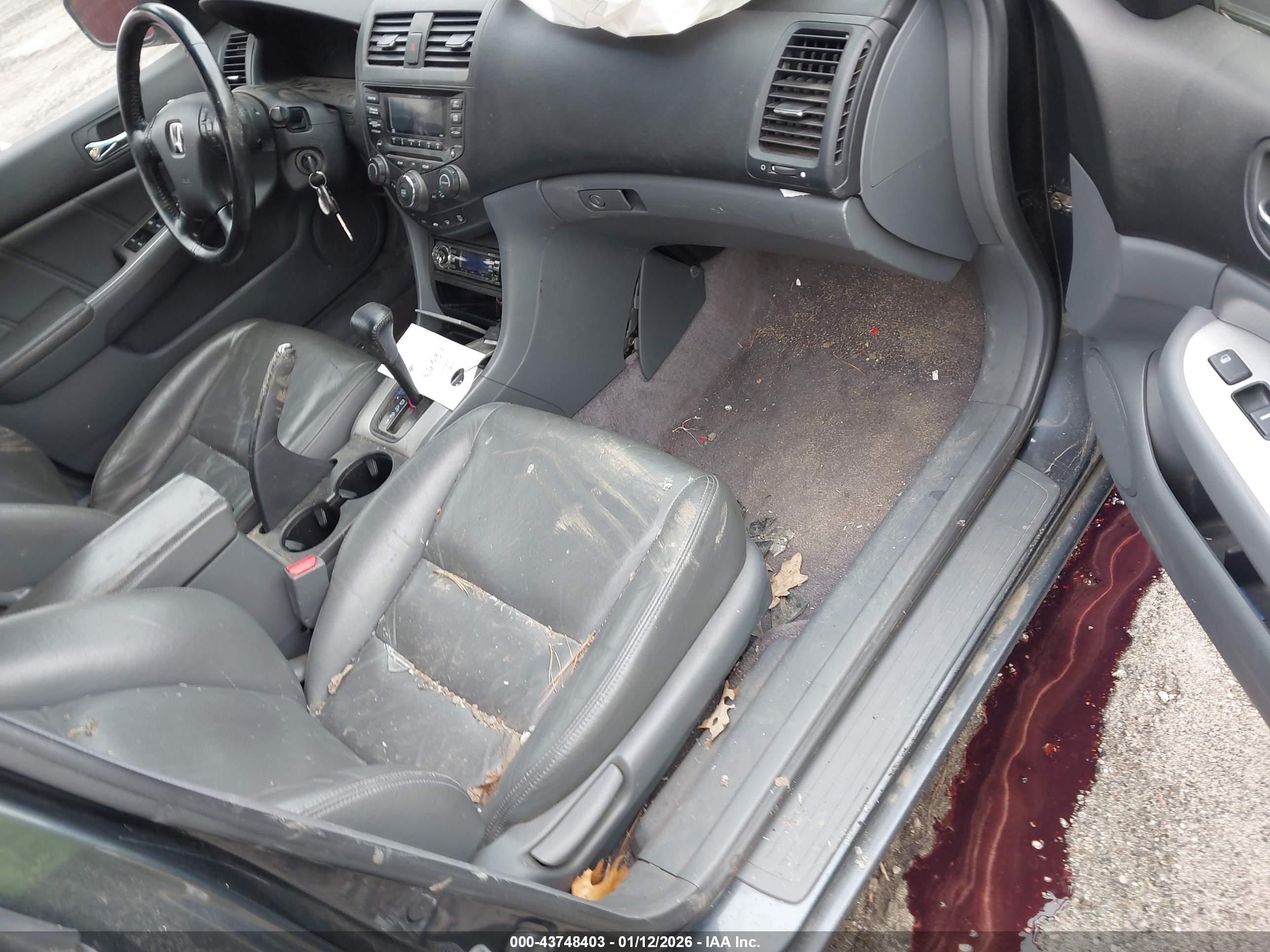 HONDA ACCORD image 5