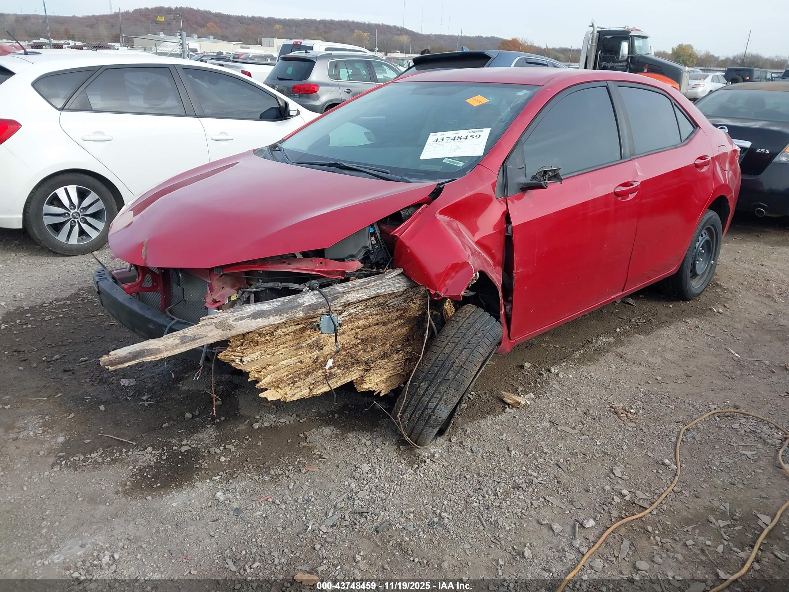 TOYOTA COROLLA image 2