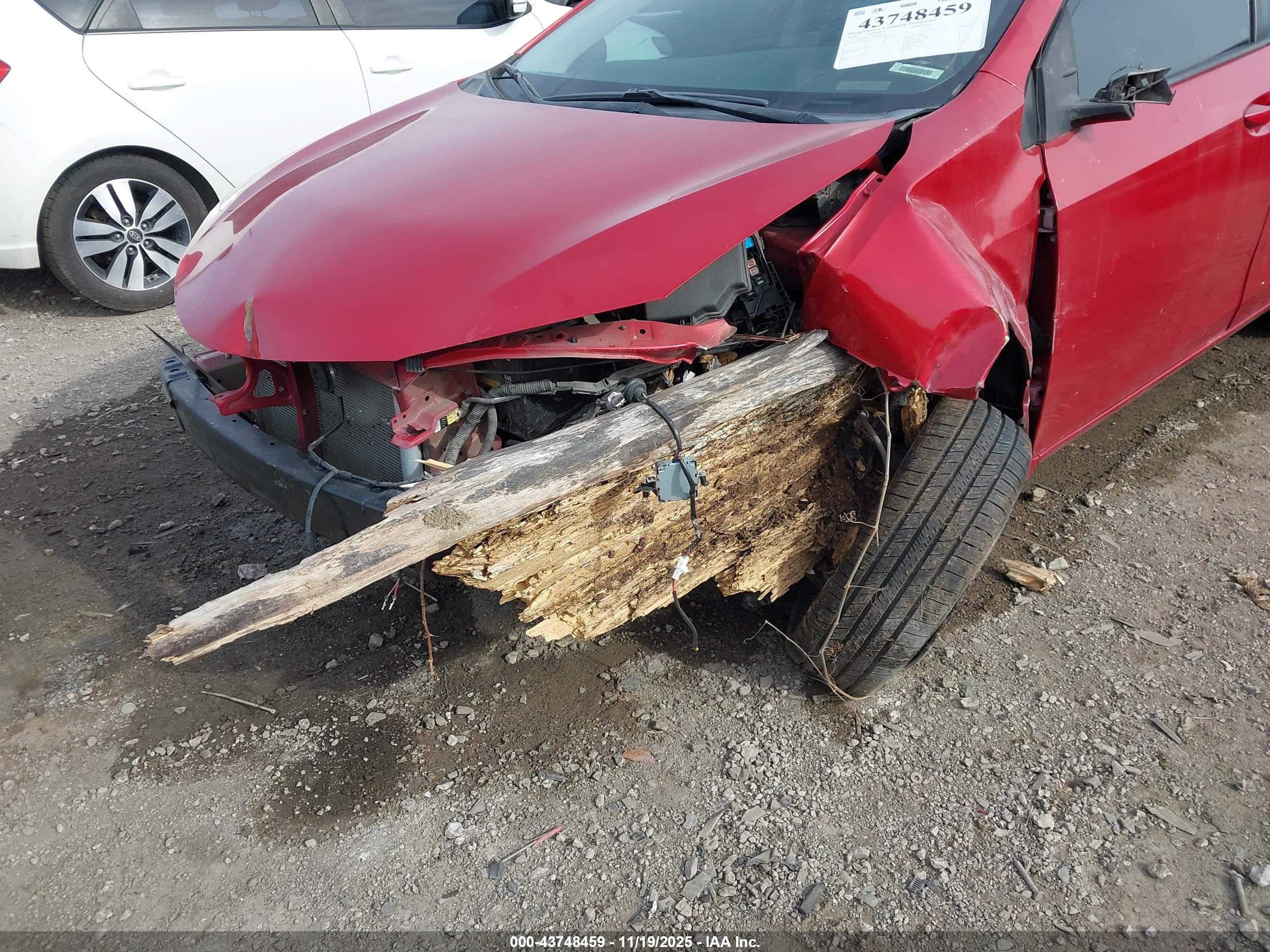 TOYOTA COROLLA image 6