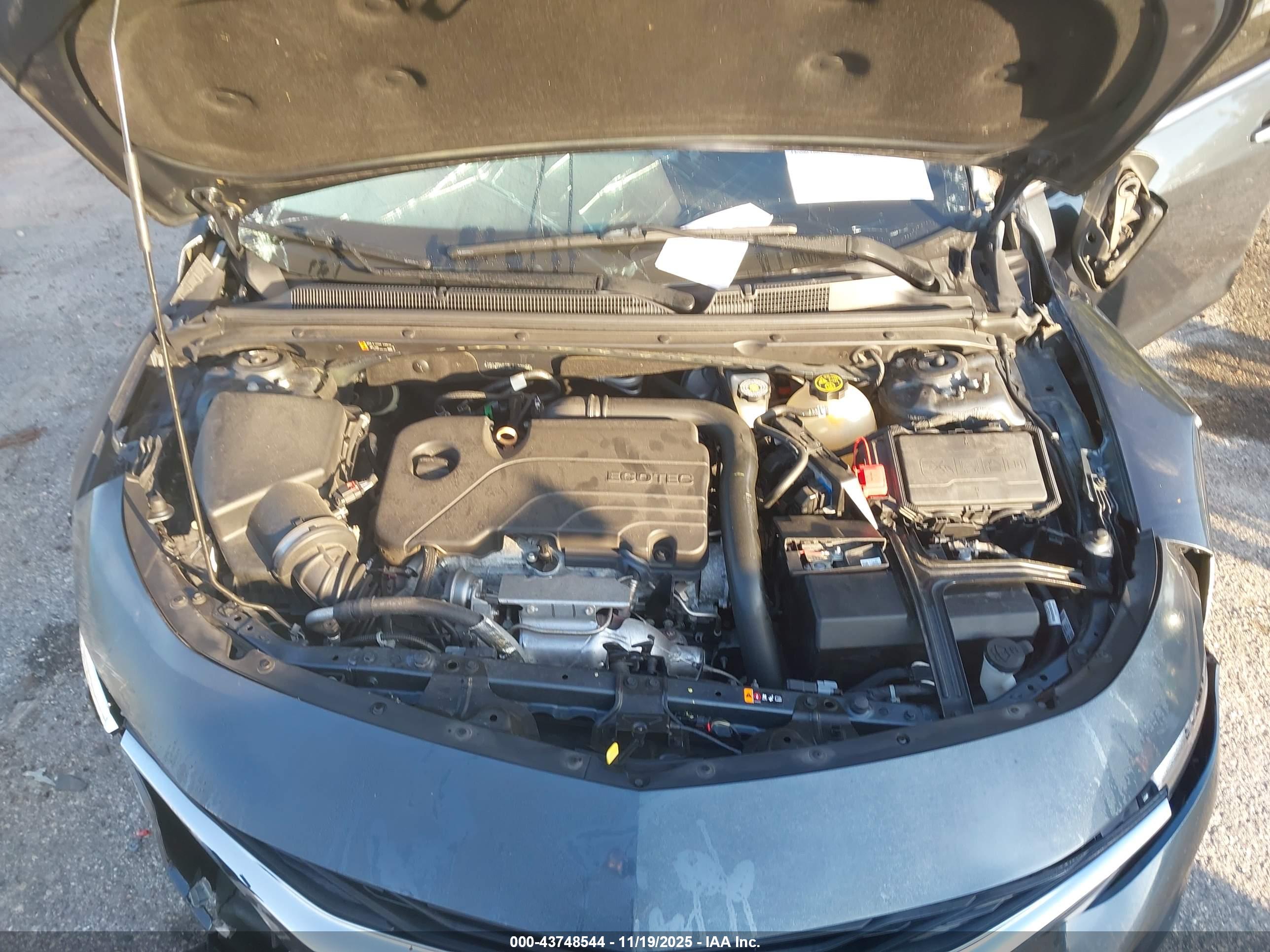 CHEVROLET MALIBU image 10