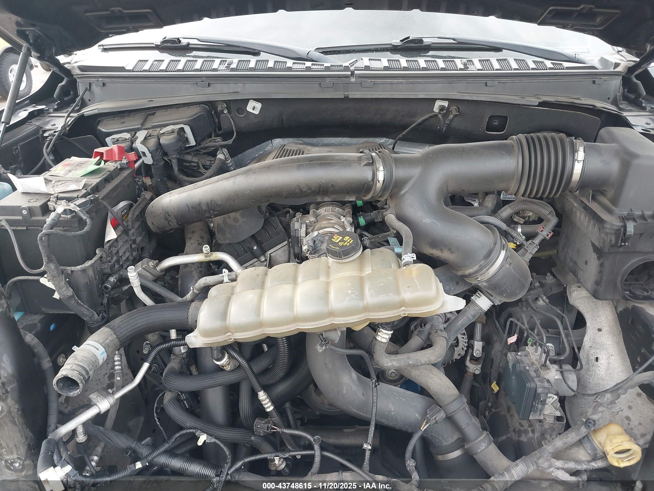 FORD EXPEDITION image 10
