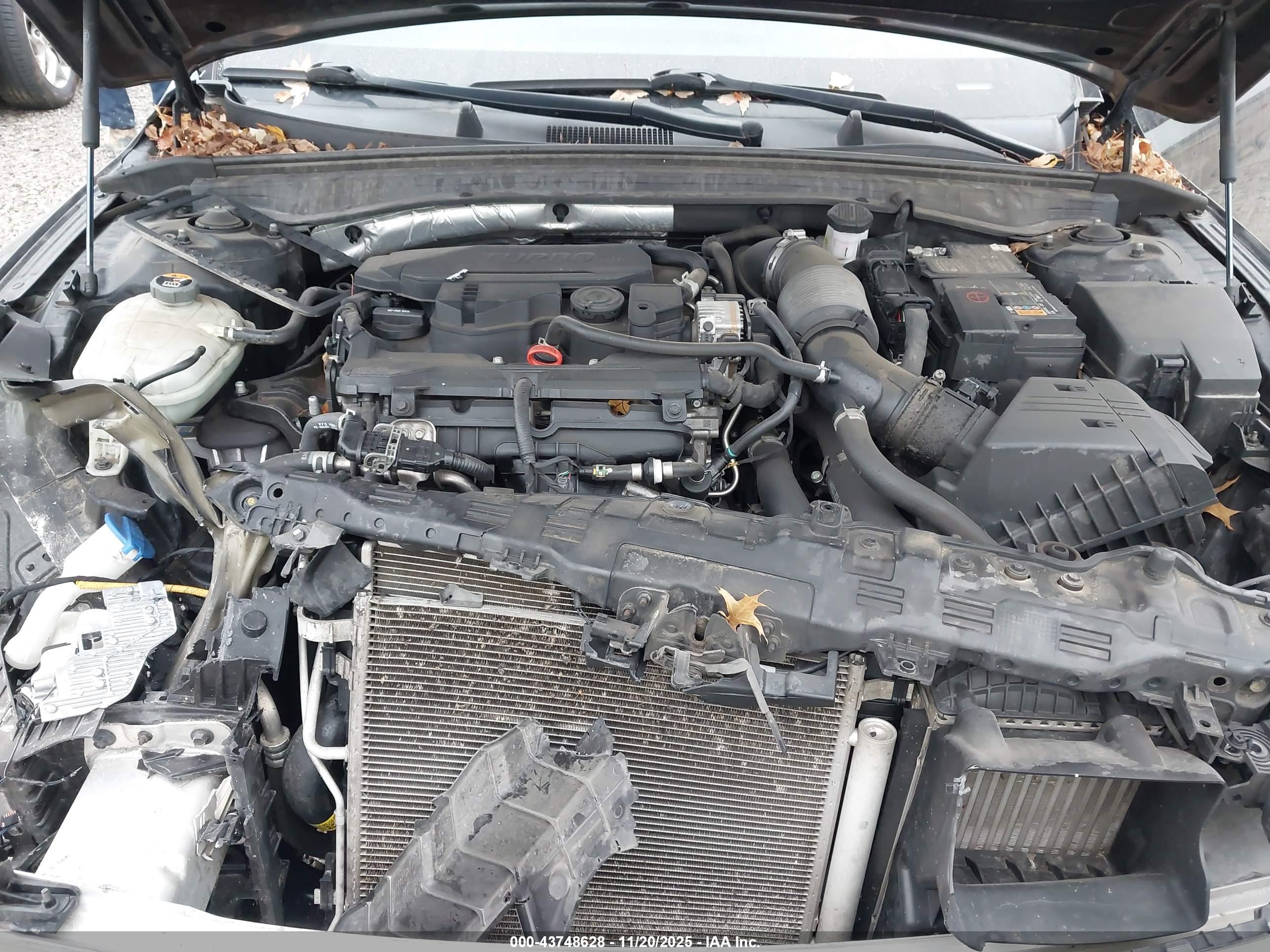 KIA K5 image 10