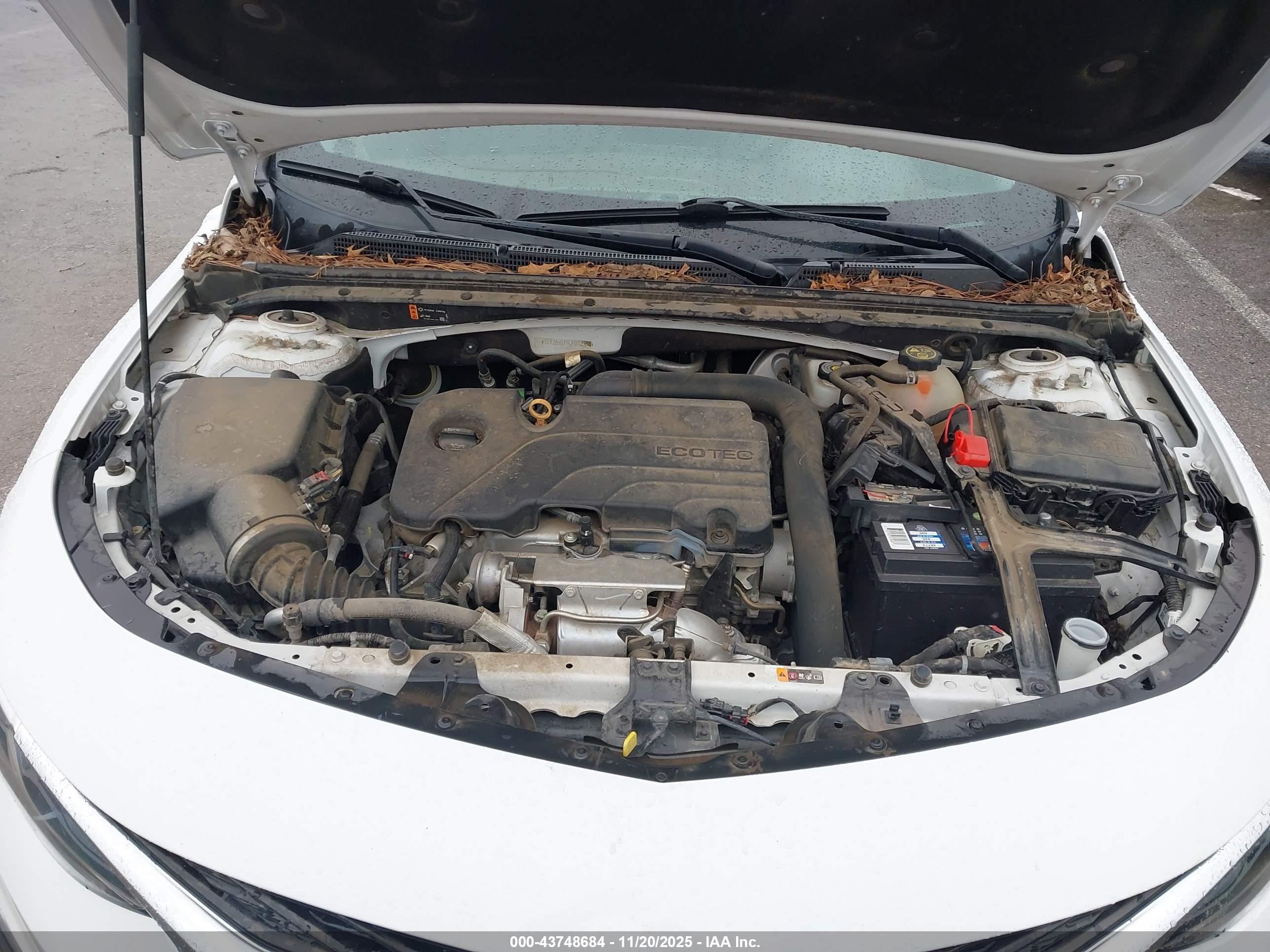 CHEVROLET MALIBU image 10