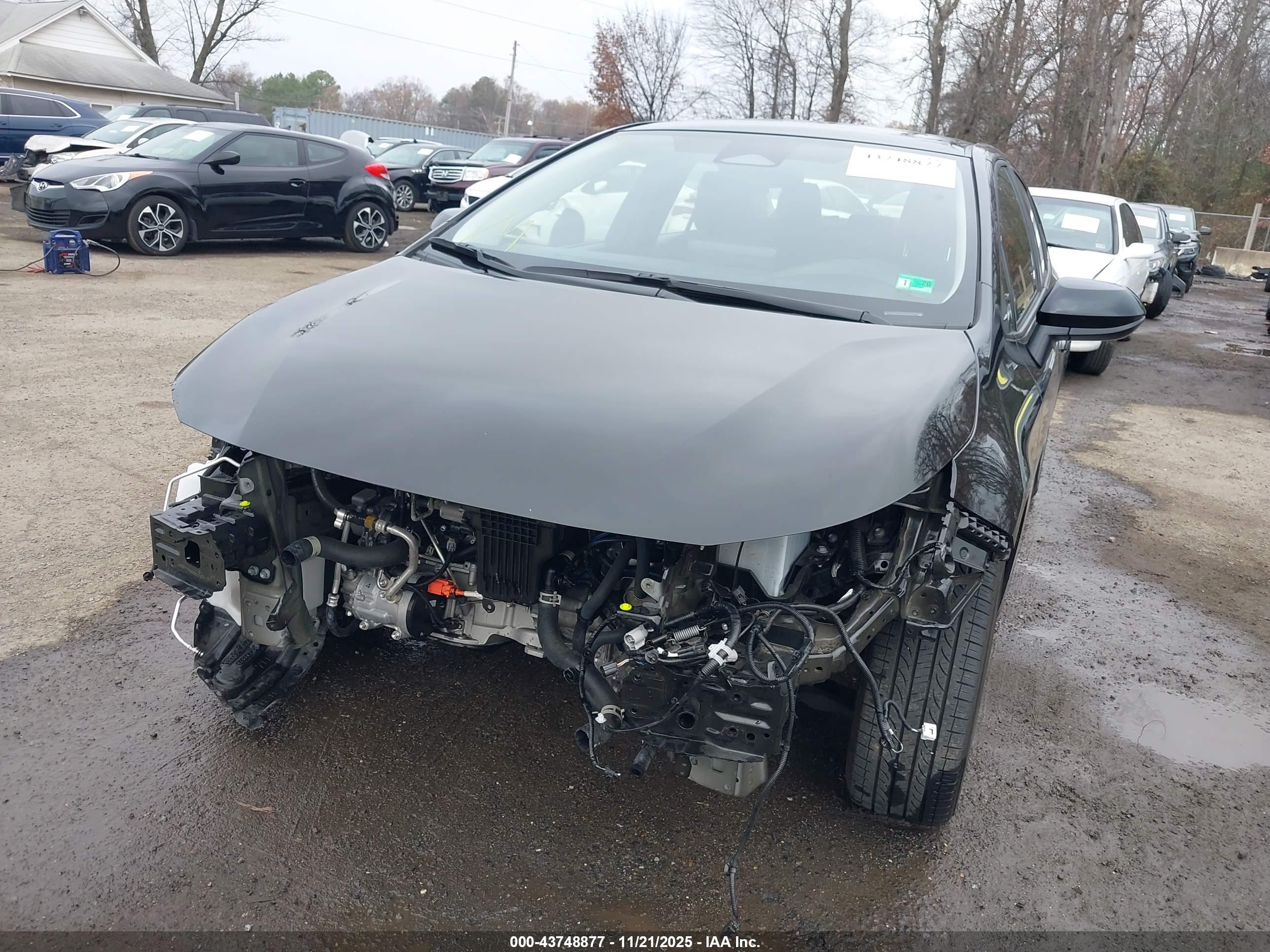 TOYOTA COROLLA image 6