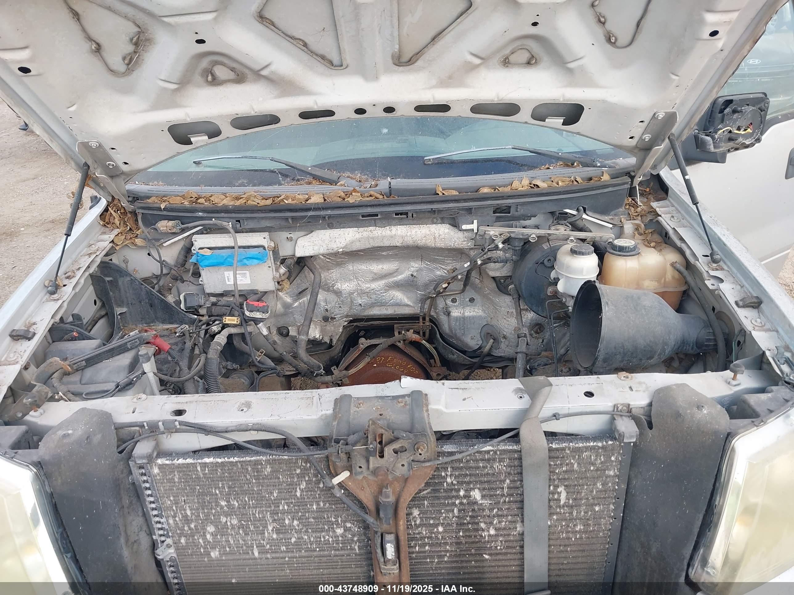 FORD F-150 image 10