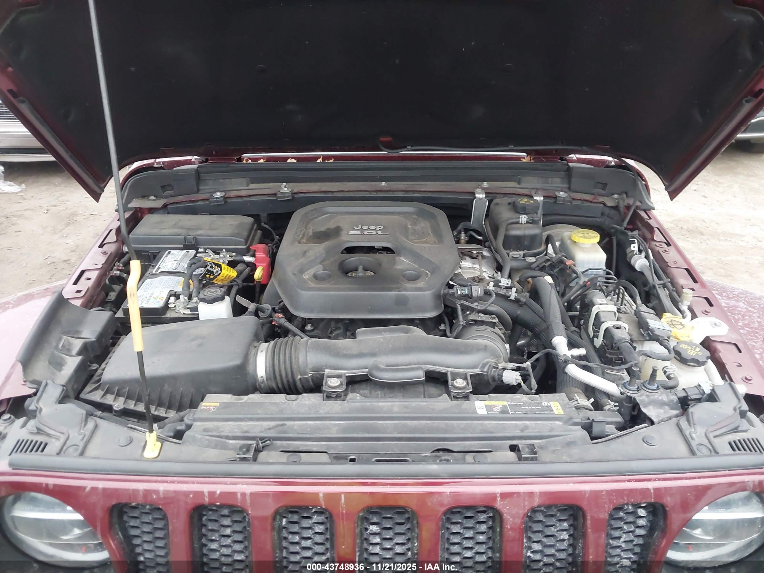 JEEP WRANGLER image 10
